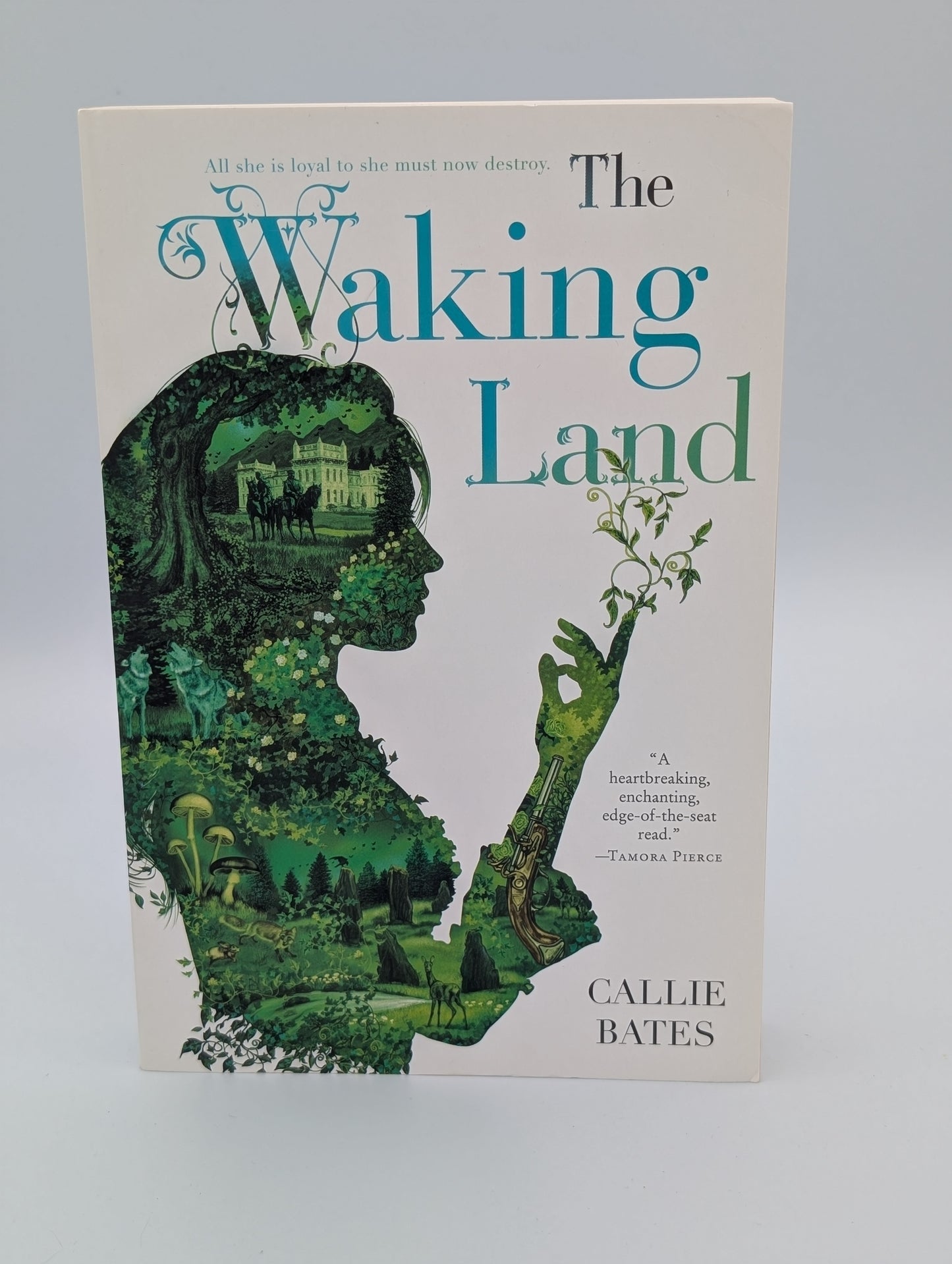 The Waking Land