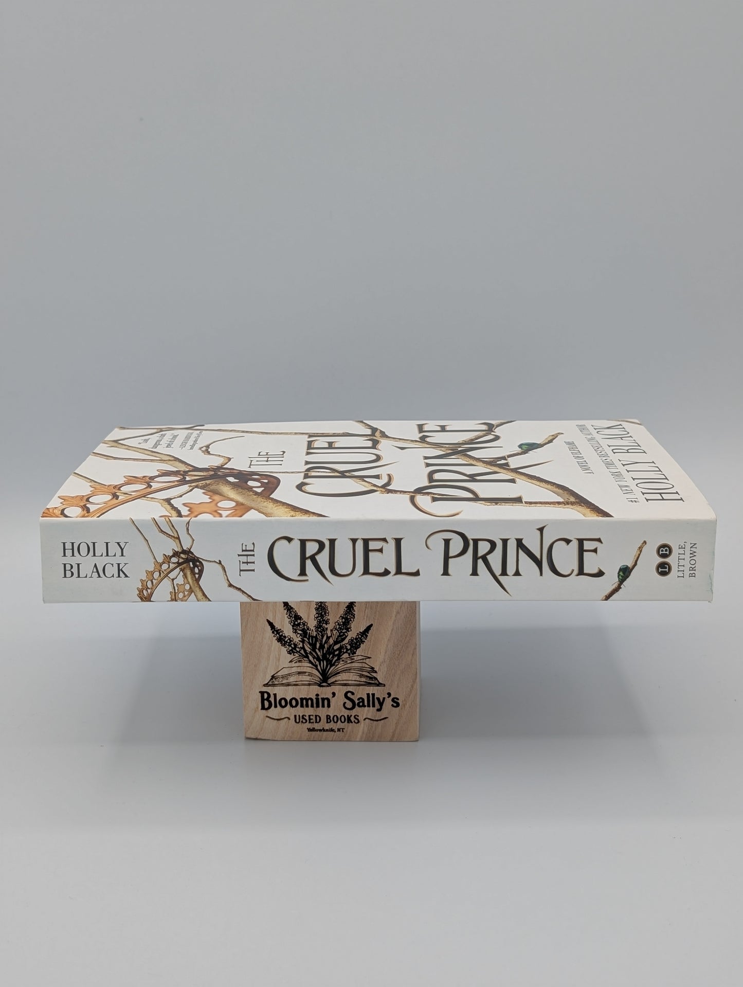 Le Prince Cruel (Le Peuple de l'Air, 1)