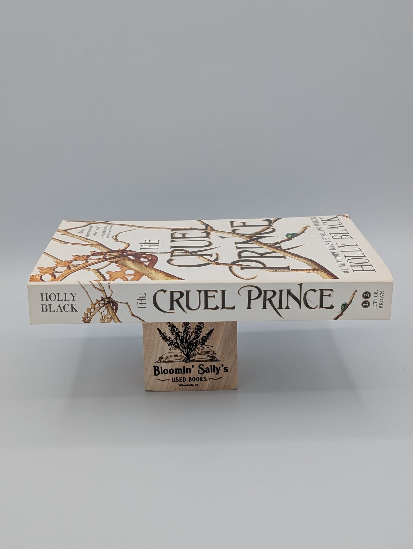 Le Prince Cruel (Le Peuple de l'Air, 1)