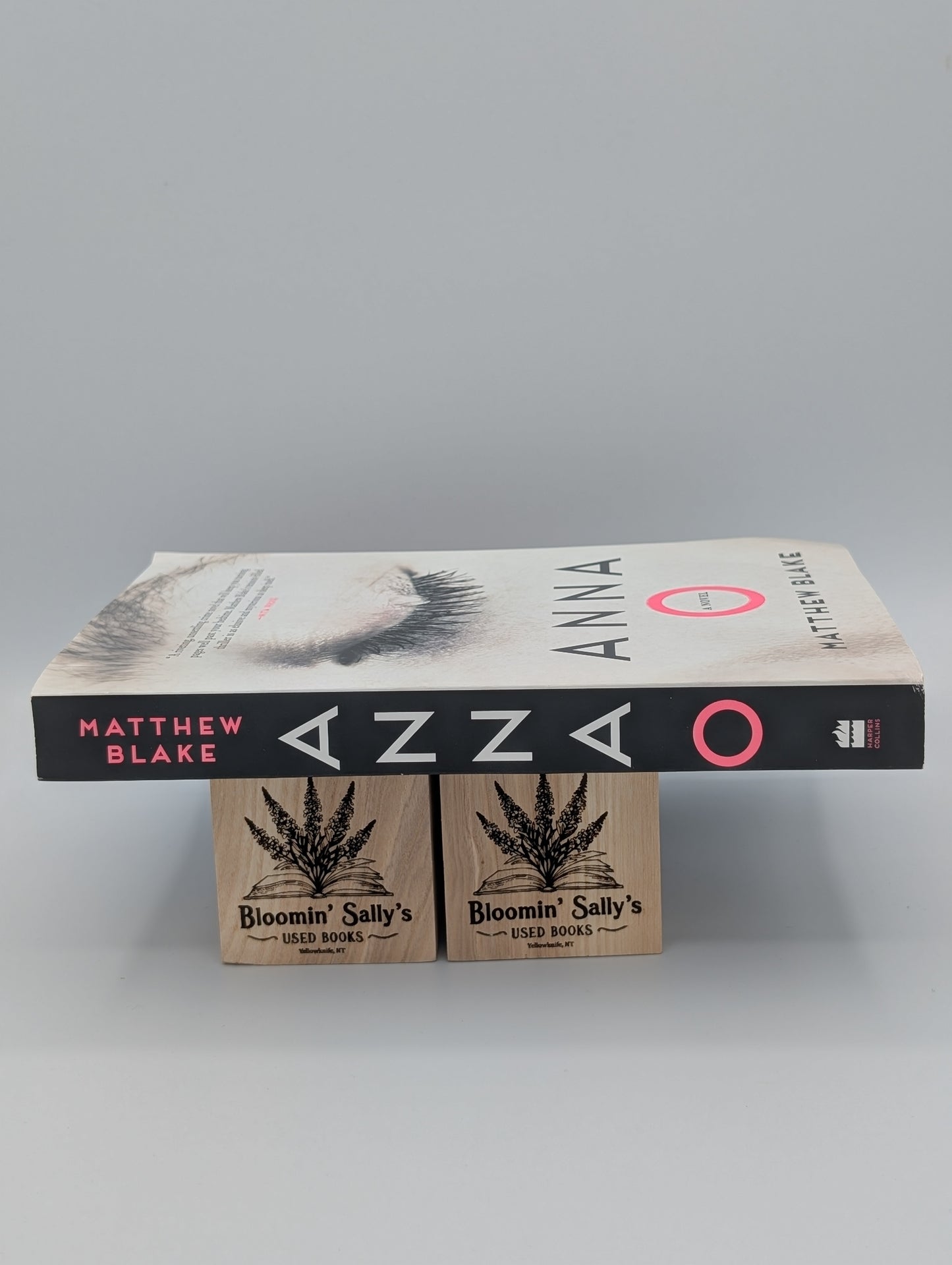 Anna O: A Novel (Good)