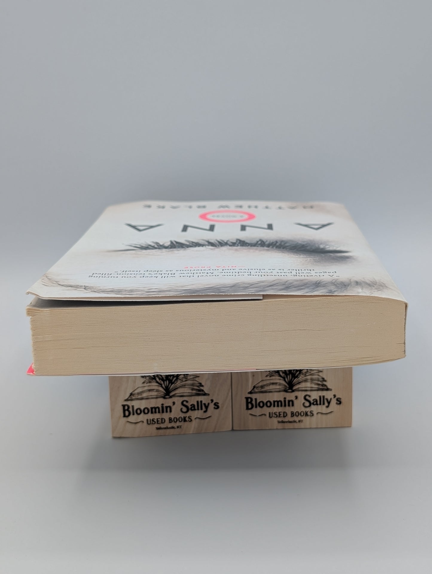 Anna O: A Novel (Good)