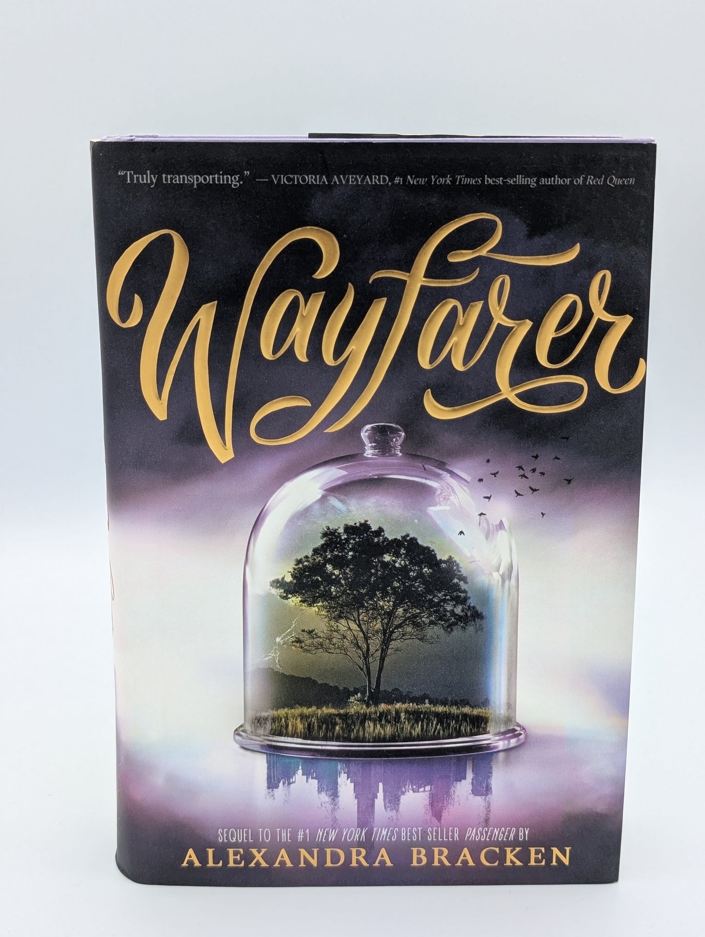 Wayfarer (A Passenger Novel, Book 2) (Passenger, 2)