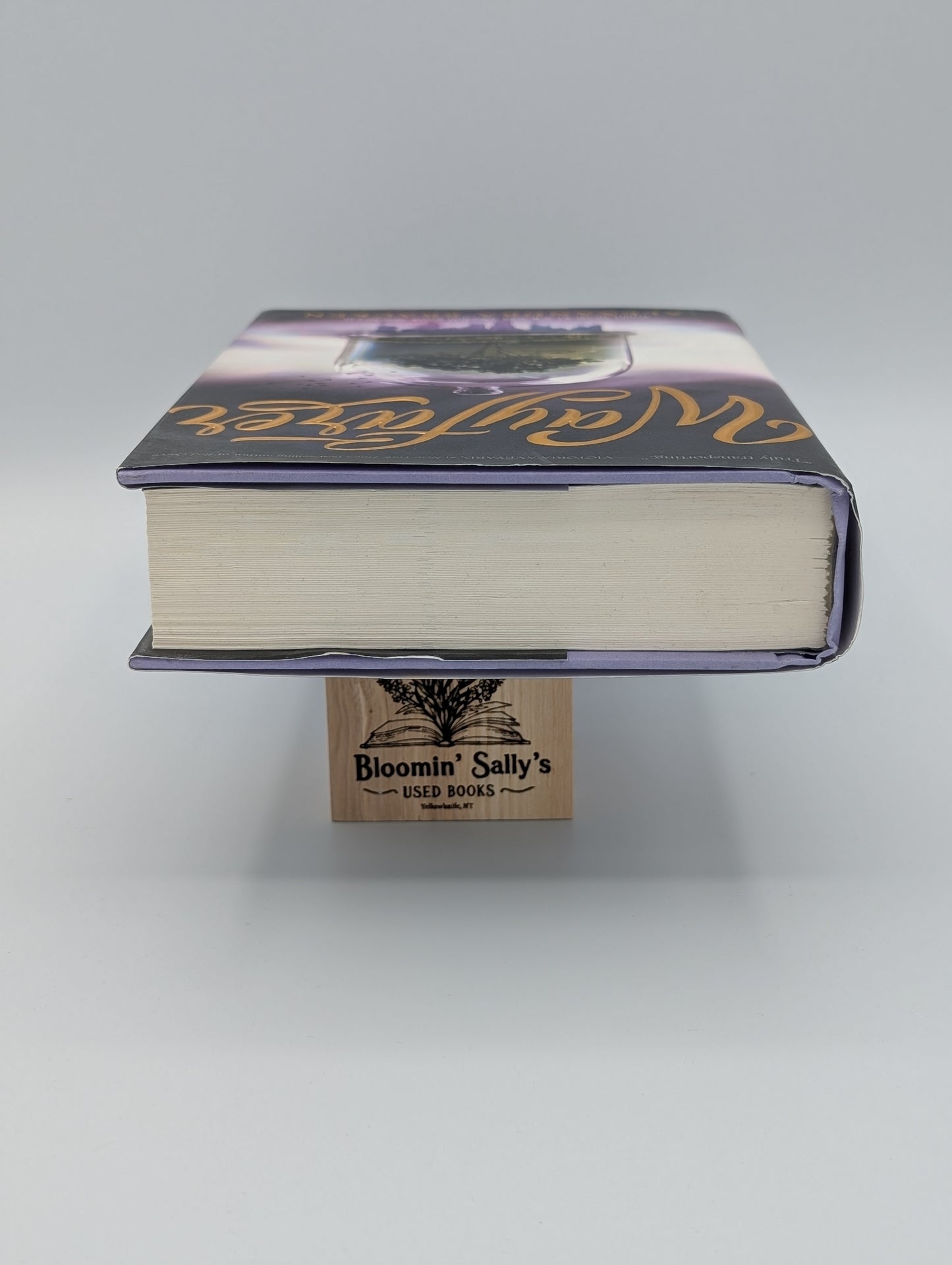 Wayfarer (A Passenger Novel, Book 2) (Passenger, 2)