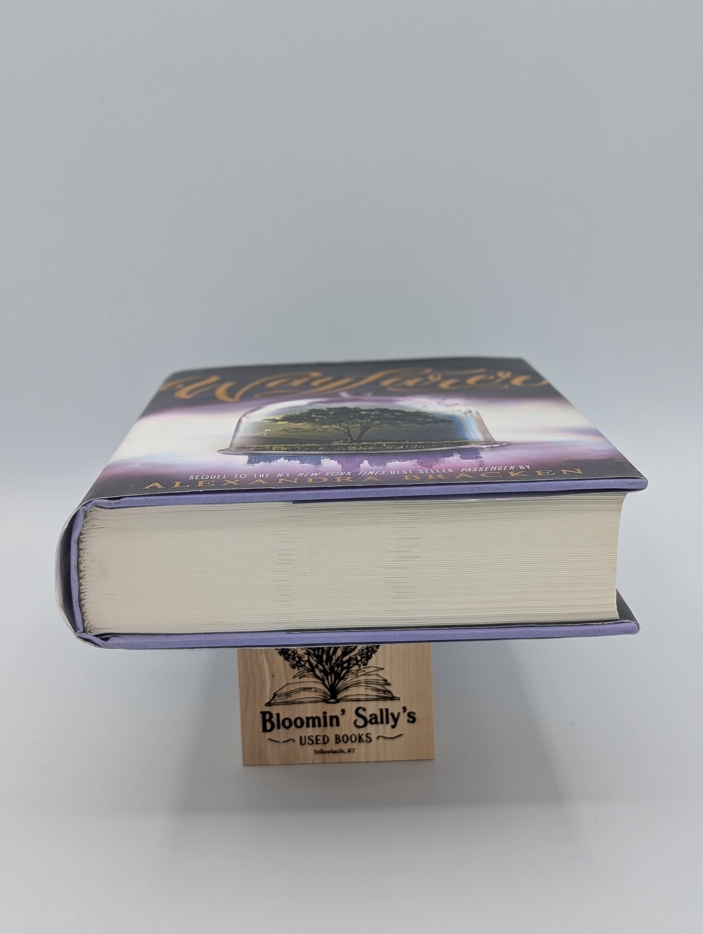Wayfarer (A Passenger Novel, Book 2) (Passenger, 2)