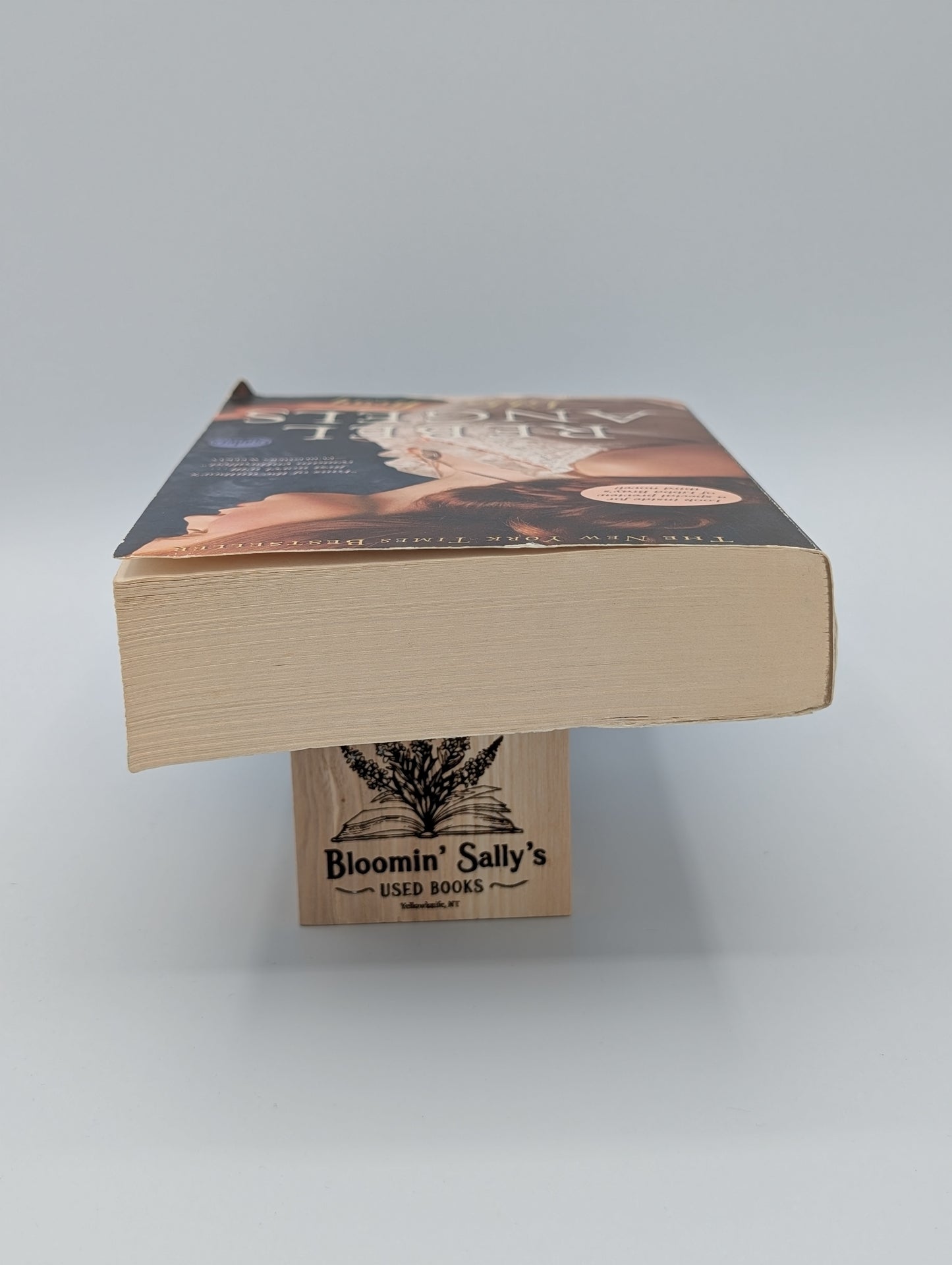 Les Anges Rebelles (La Trilogie de Gemma Doyle, Livre n°2)