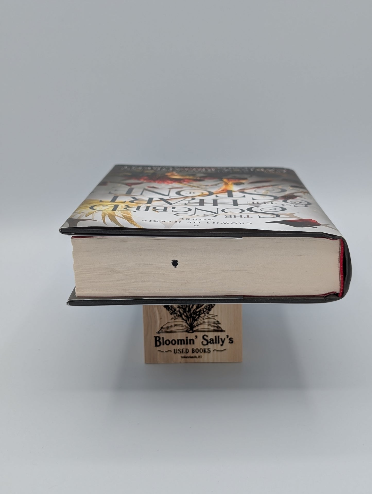 L'Oiseau chanteur et le Cœur de pierre : Le diptyque des Enfants de l'ombre, Livre un (Couronnes de Nyaxia, 3)