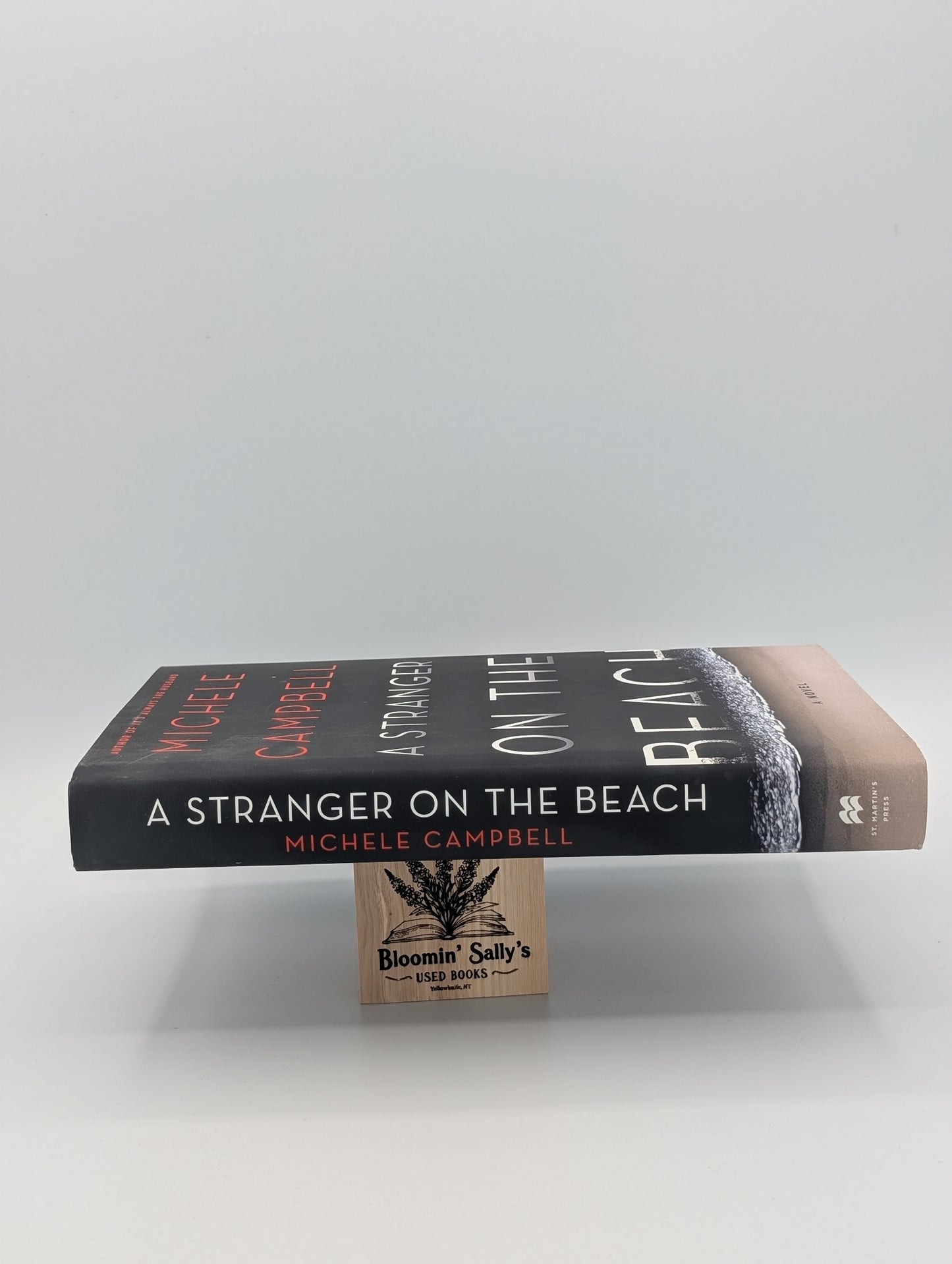 Un étranger sur la plage : un roman