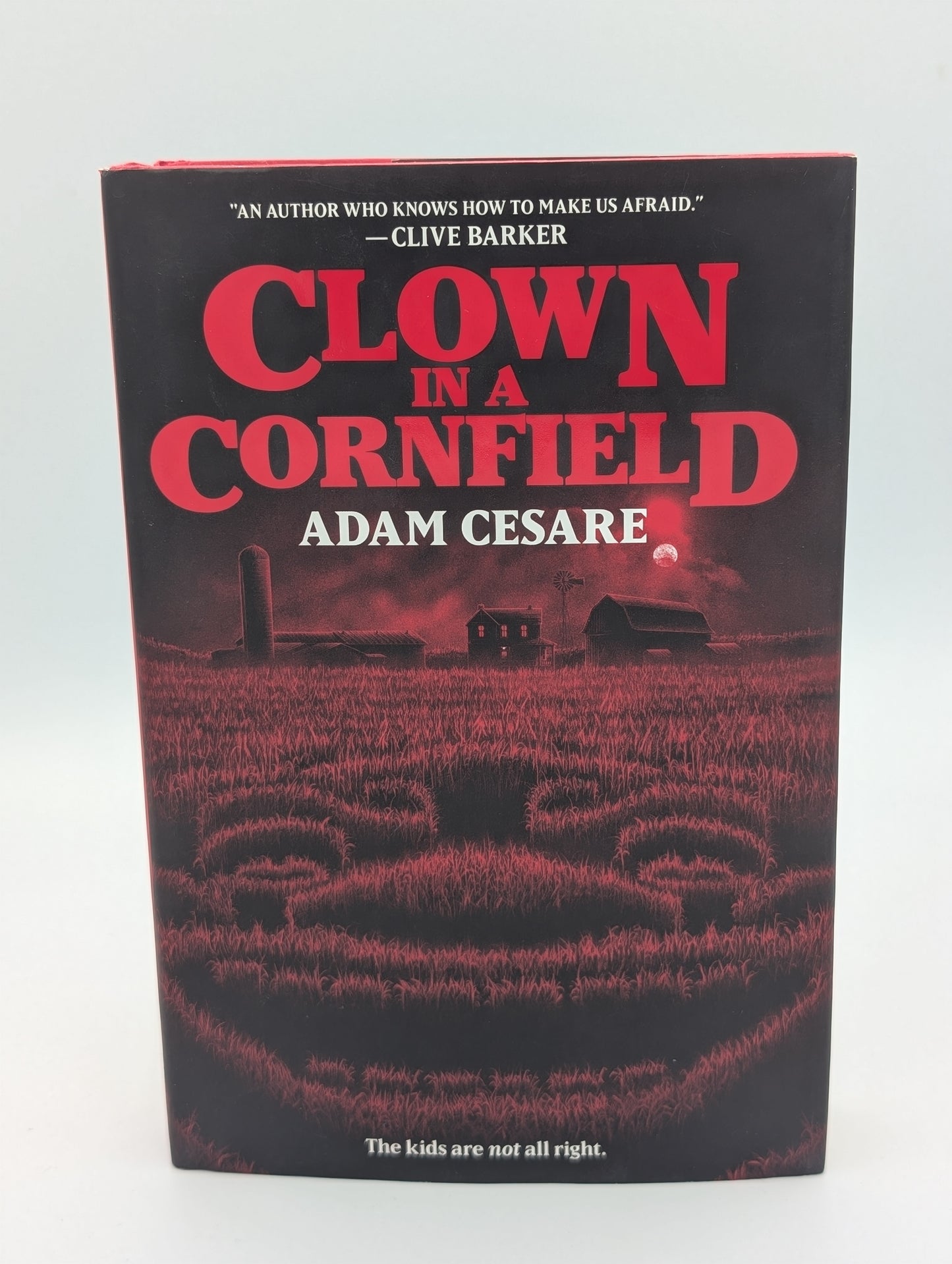 Clown dans un champ de maïs (Clown dans un champ de maïs, 1)
