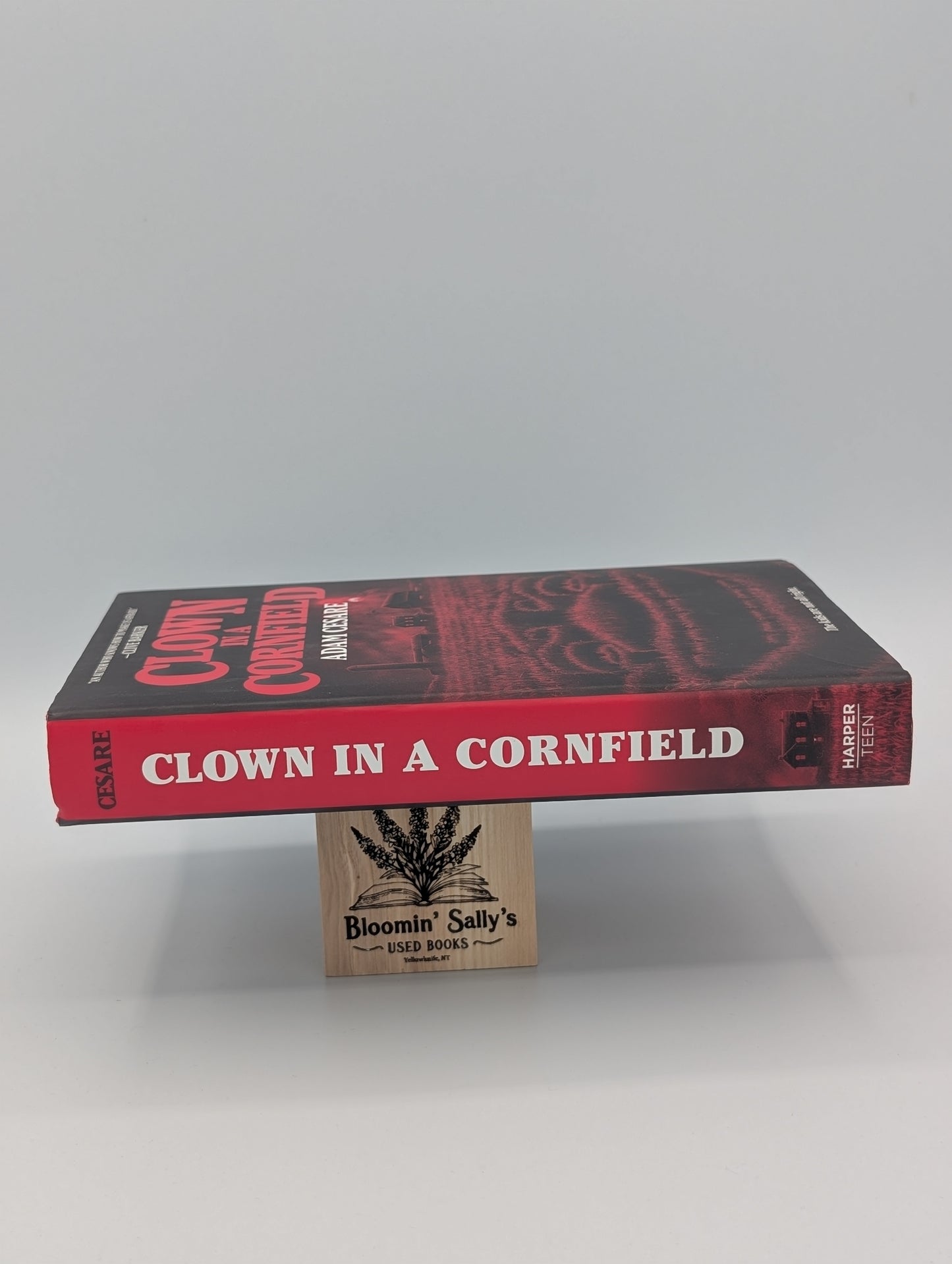 Clown dans un champ de maïs (Clown dans un champ de maïs, 1)