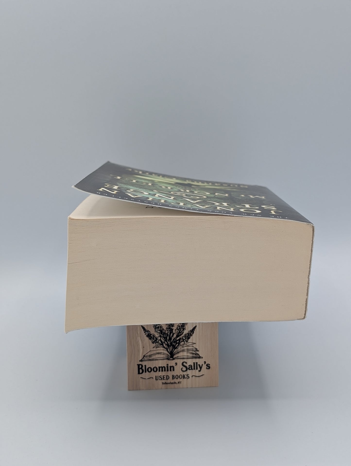 Jonathan Strange & Mr Norrell: A Novel