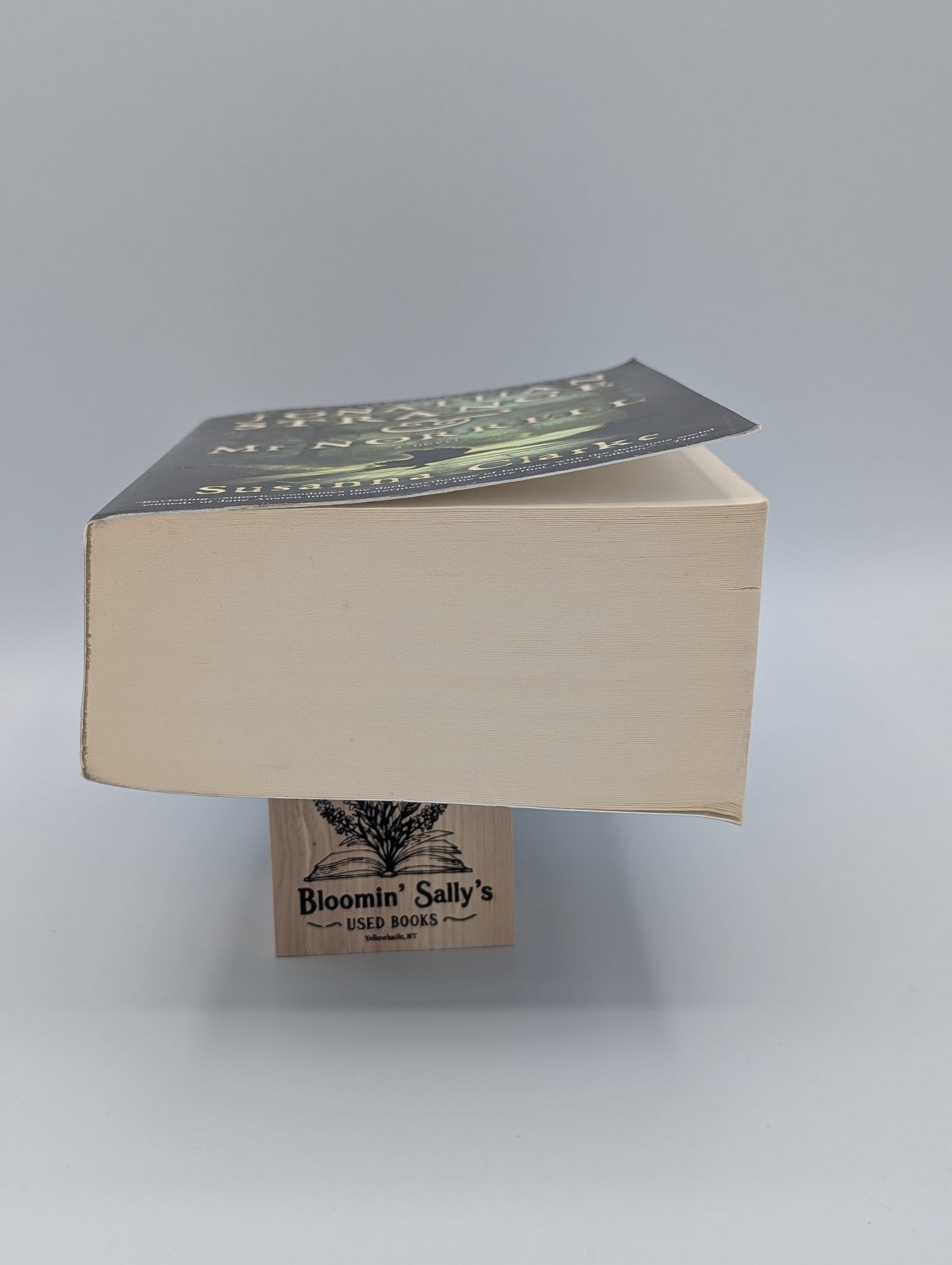 Jonathan Strange & Mr Norrell: A Novel