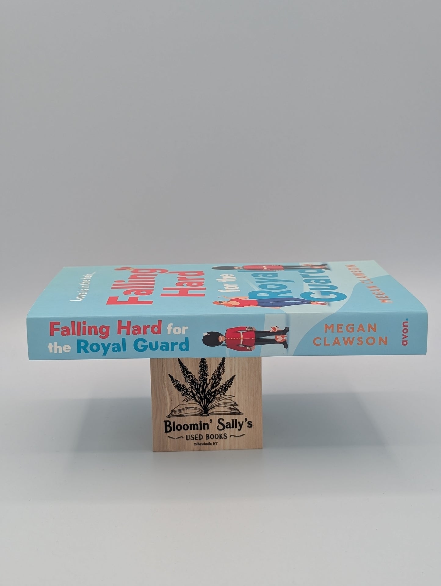 Falling Hard for the Royal Guard