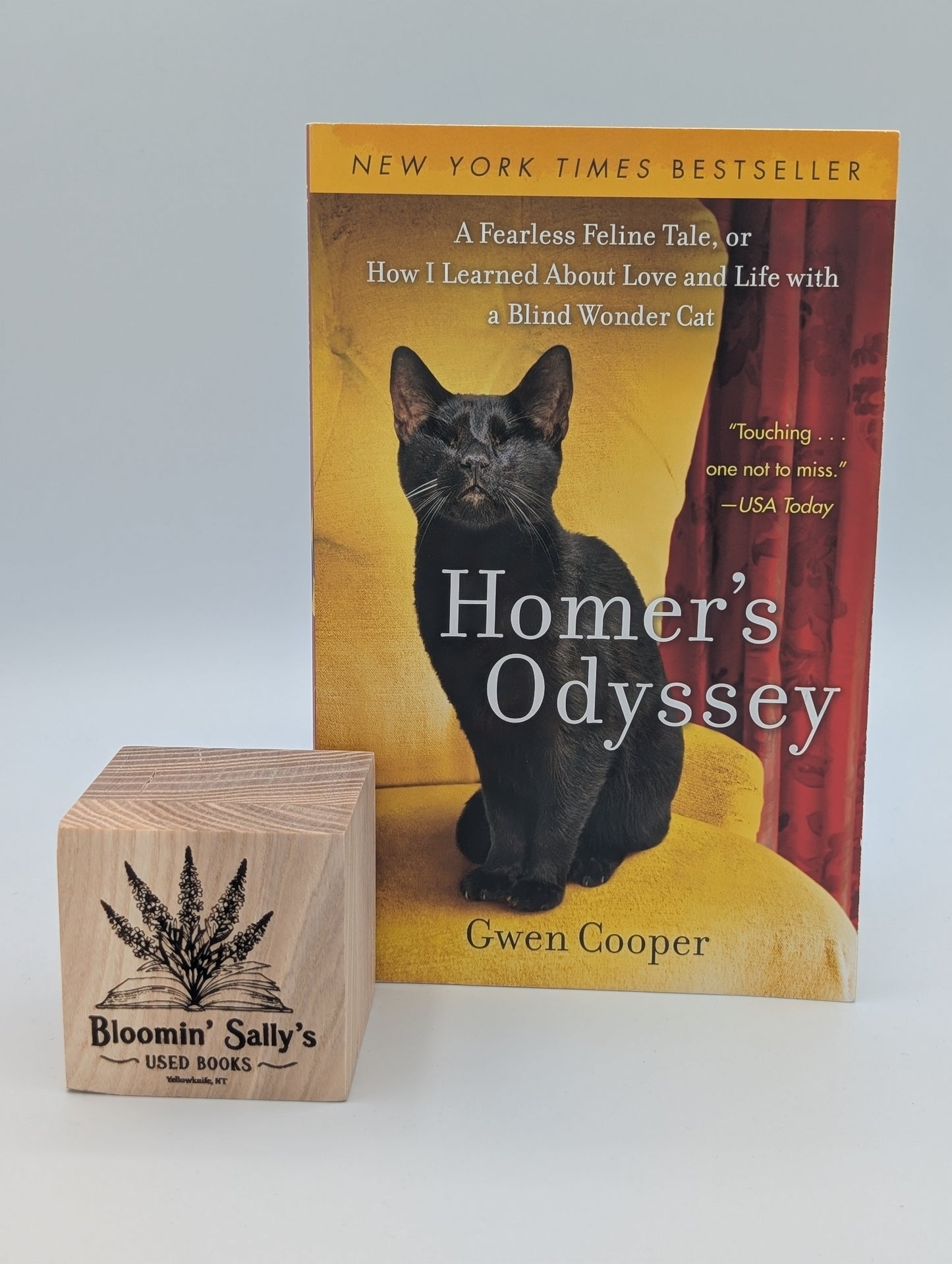 L'Odyssée d'Homère : une histoire féline intrépide, ou comment j'ai appris l'amour et la vie avec un chat aveugle prodige
