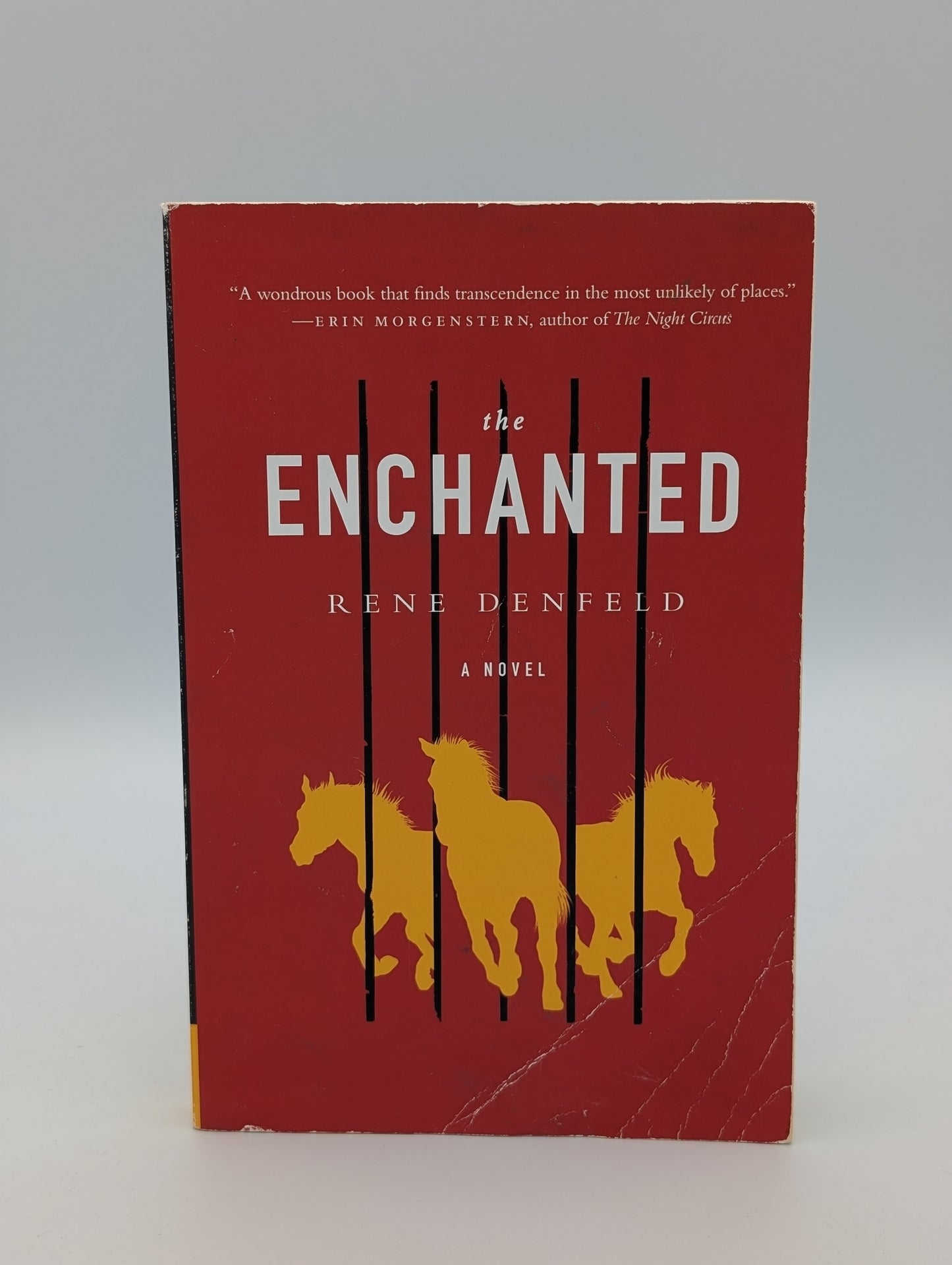 ENCHANTED (P.S. (Paperback))