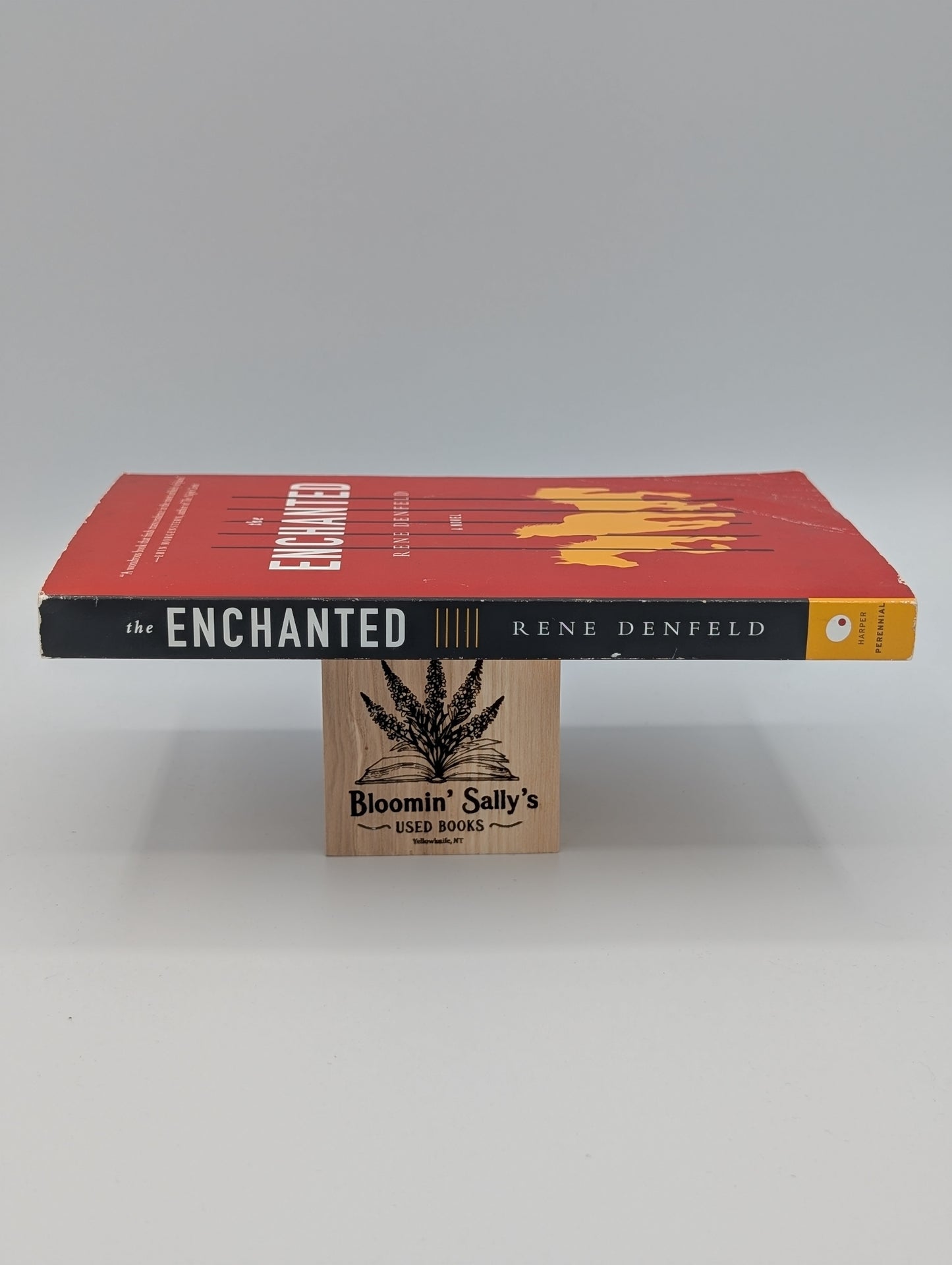 ENCHANTED (P.S. (Paperback))