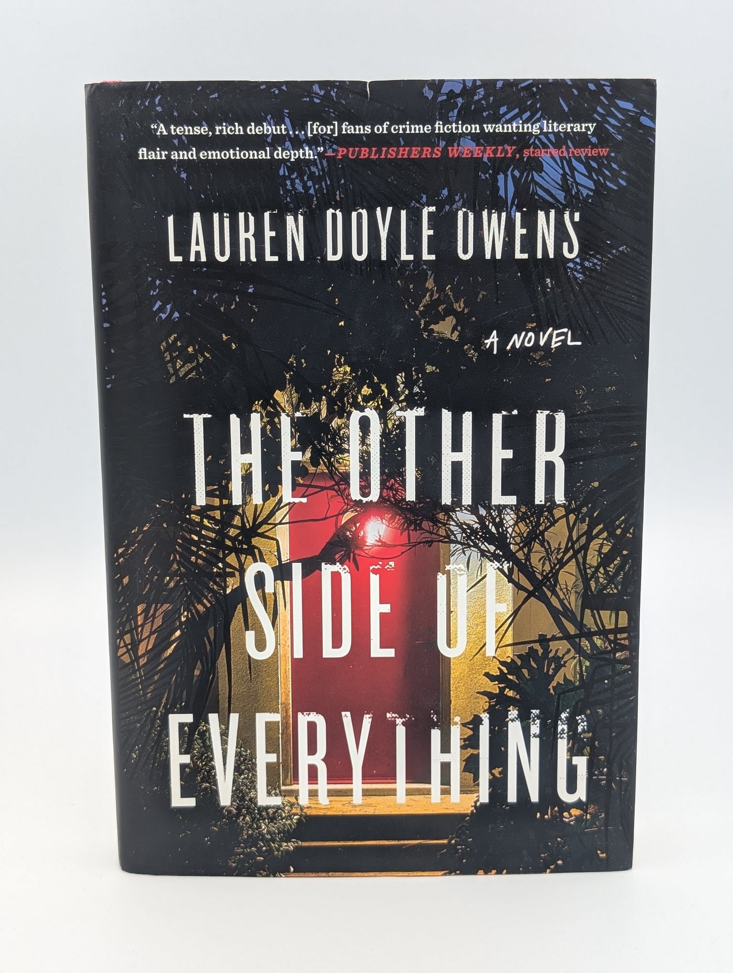The Other Side of Everything: A Novel