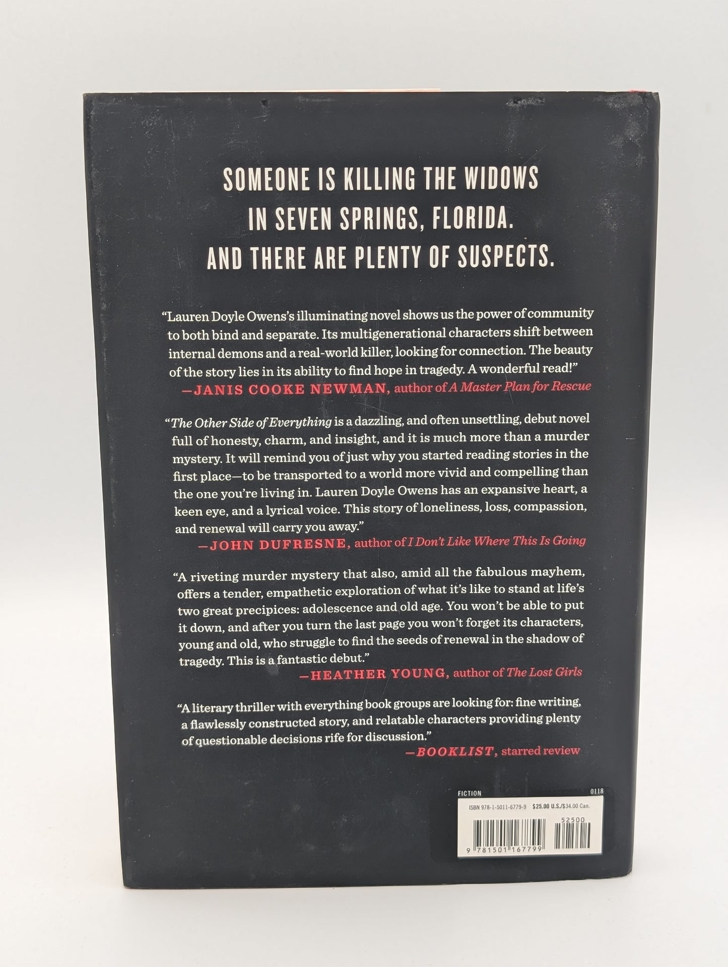 The Other Side of Everything: A Novel