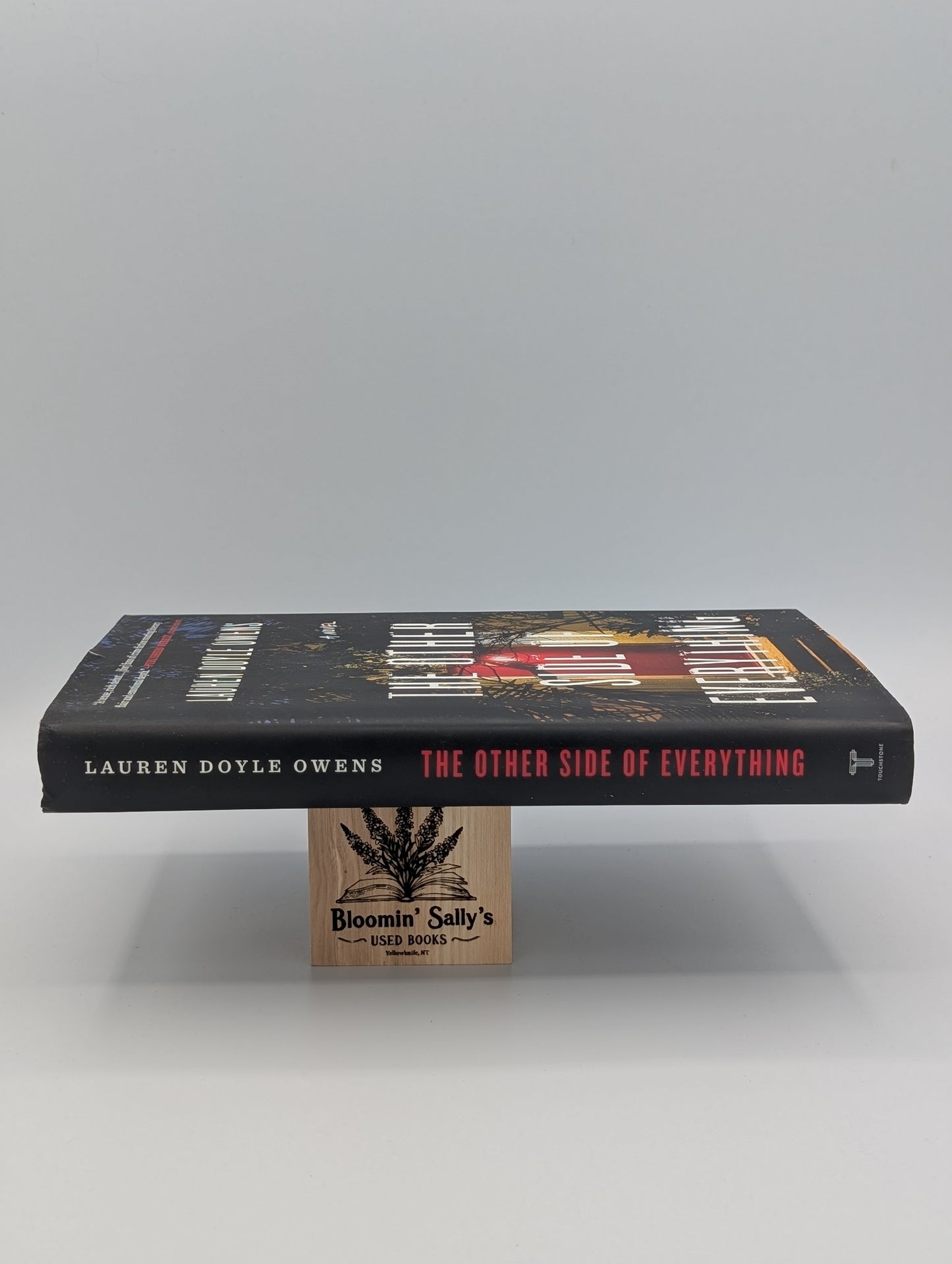 The Other Side of Everything: A Novel