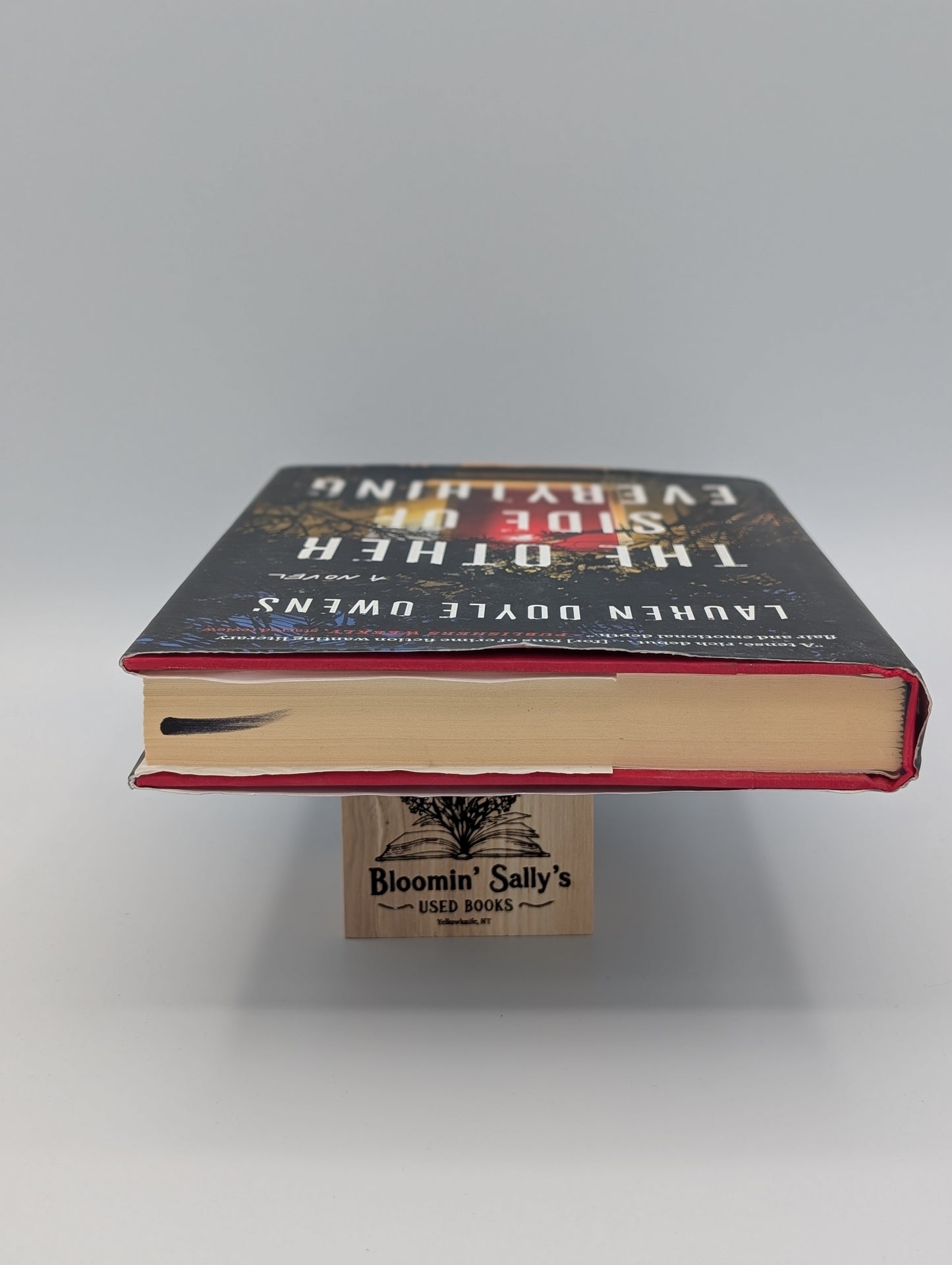 The Other Side of Everything: A Novel
