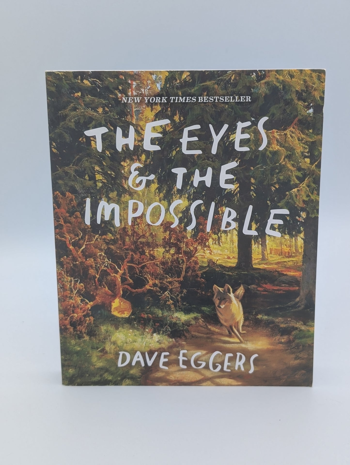Les Yeux et l'Impossible : (Lauréat de la médaille Newbery)