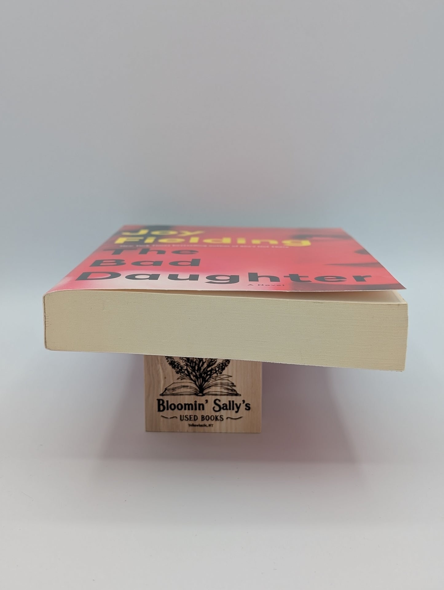 The Bad Daughter: A Novel