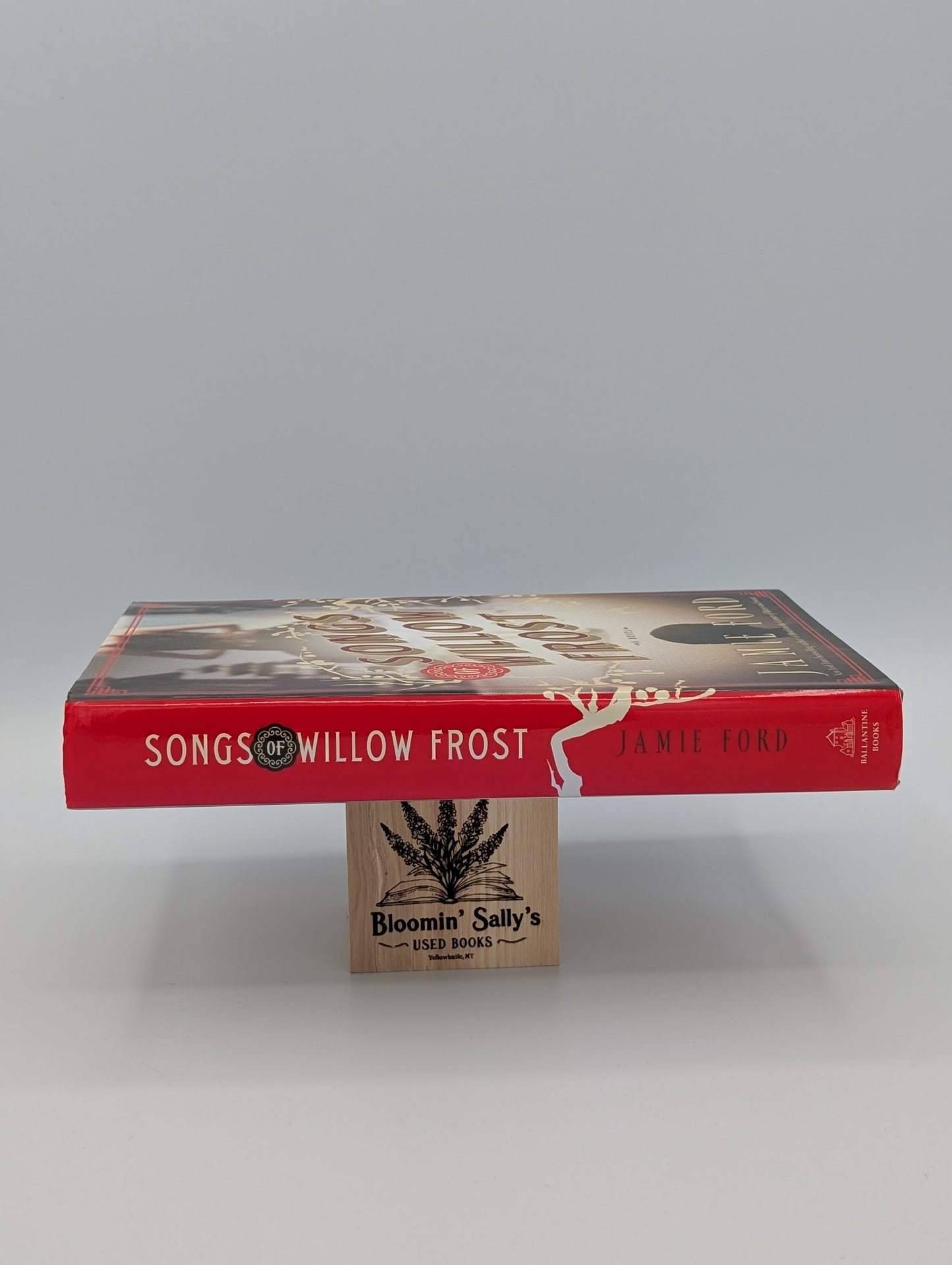 Les Chants de Willow Frost : Un roman