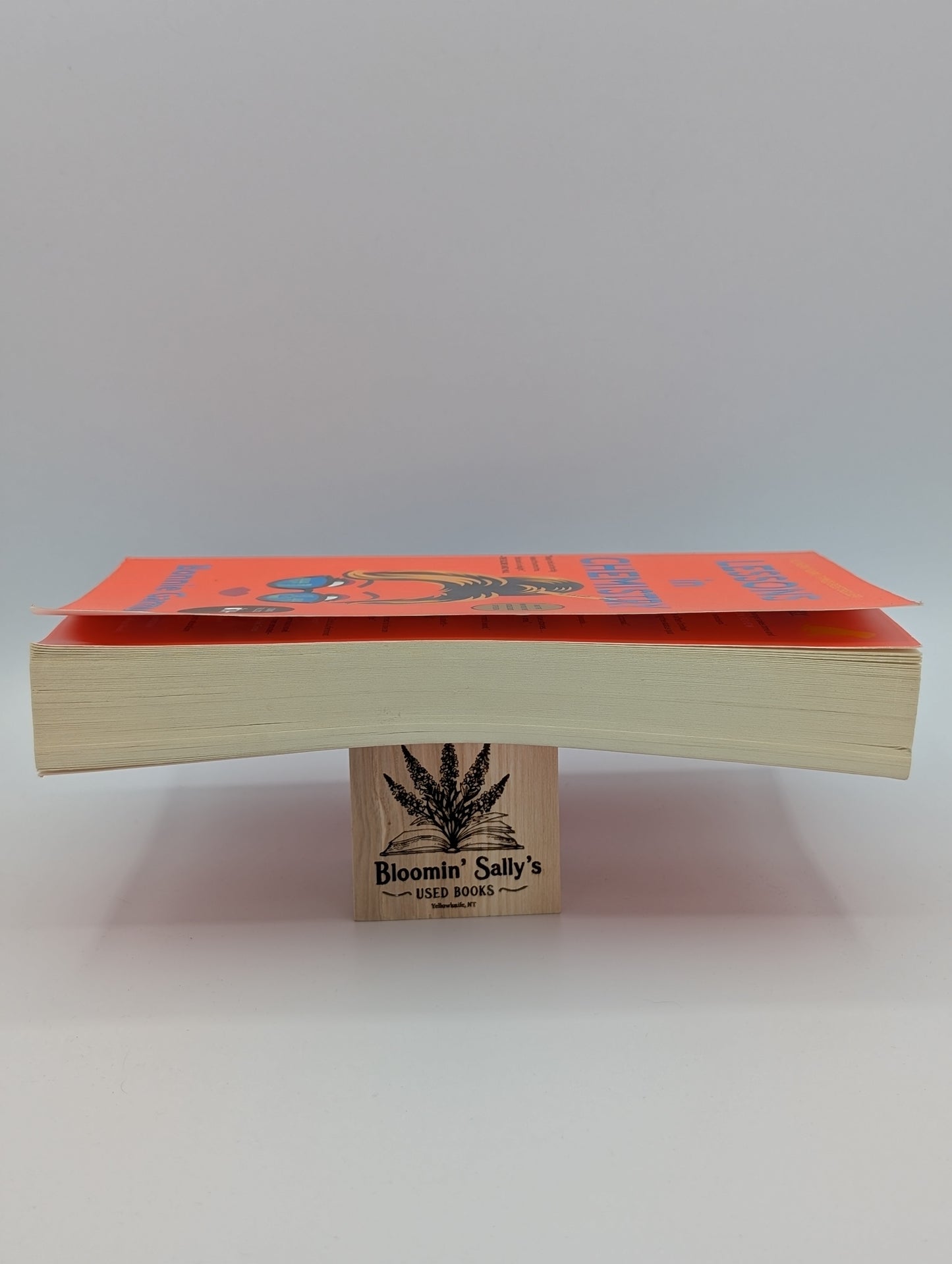 LESSONS IN CHEMISTRY