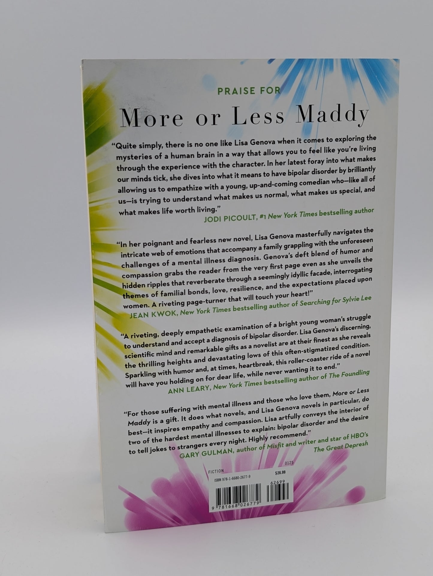 Plus ou moins Maddy : un roman