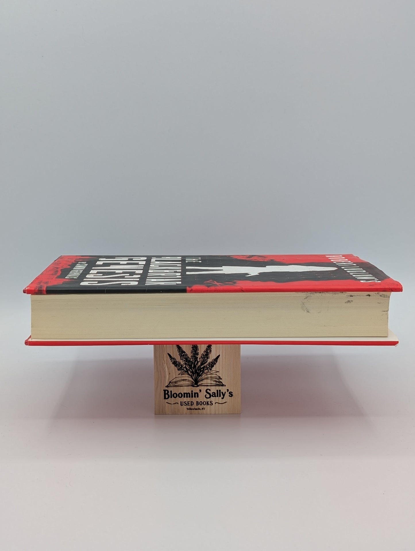 La Genèse de Blackbriar de Robert Ludlum (Un roman de Blackbriar)