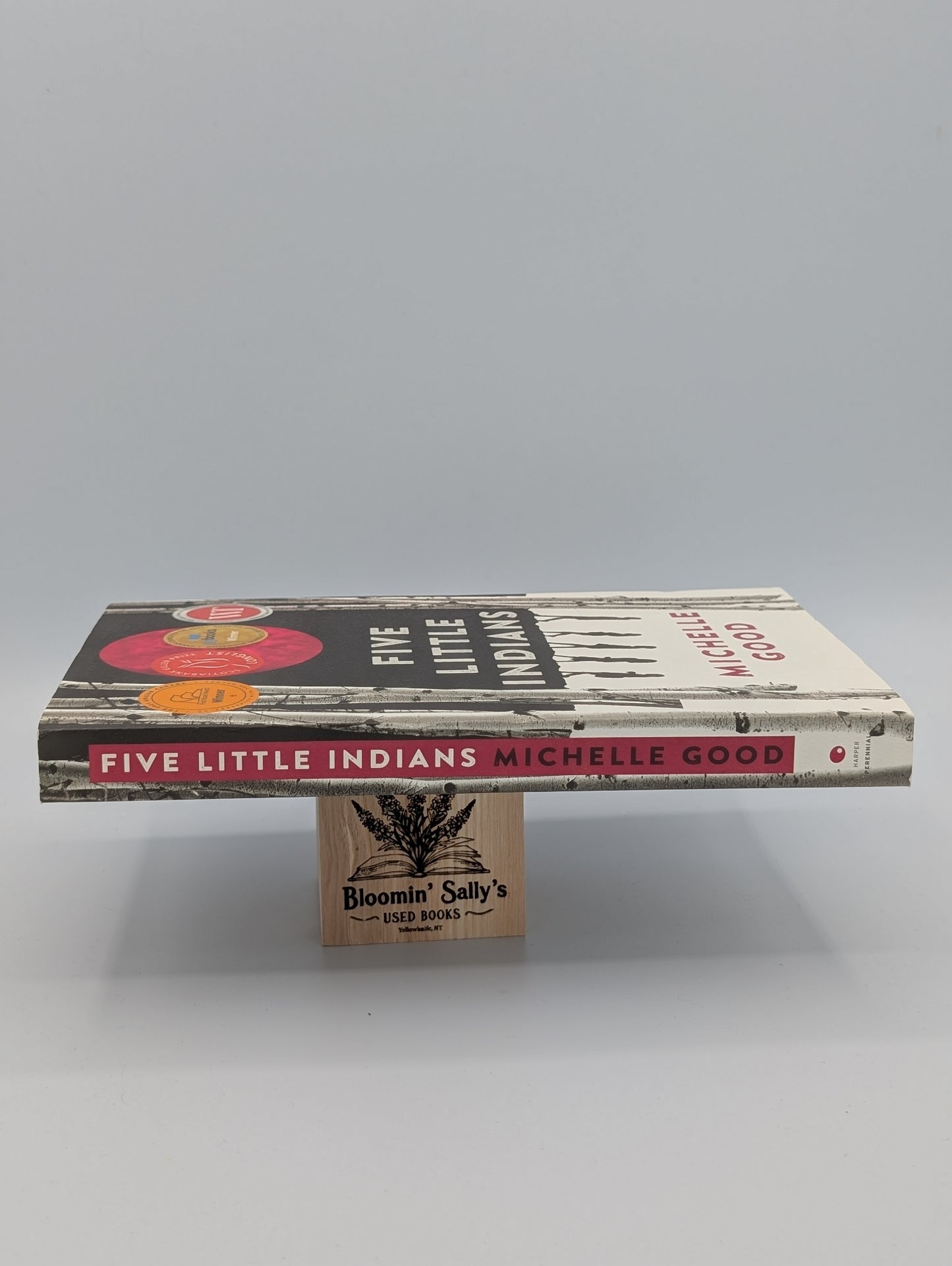 Cinq petits Indiens : un roman