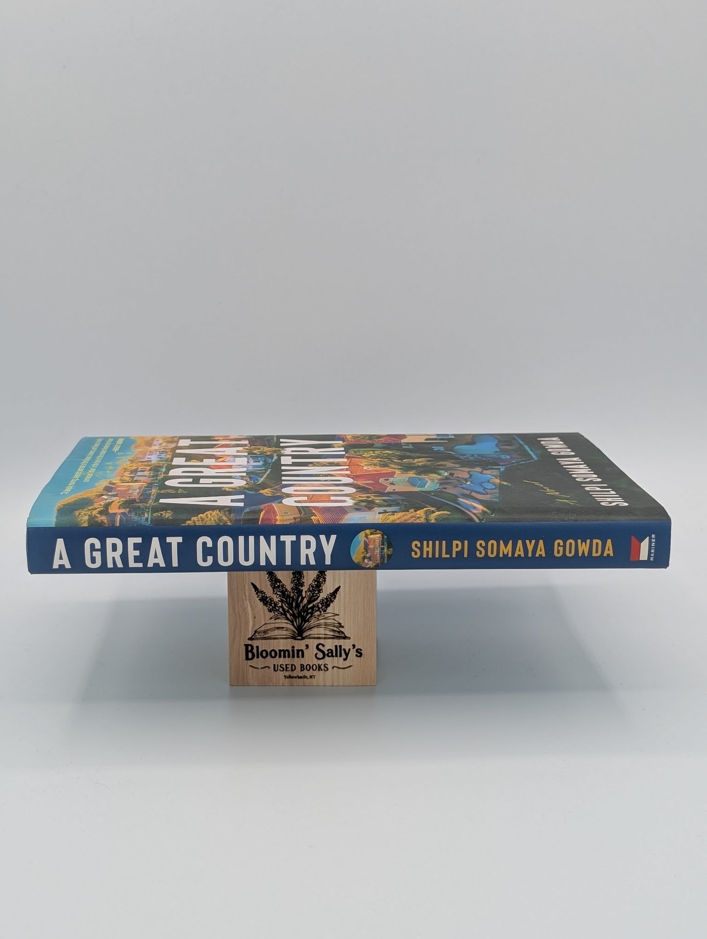 Un grand pays : un roman (édition reliée)