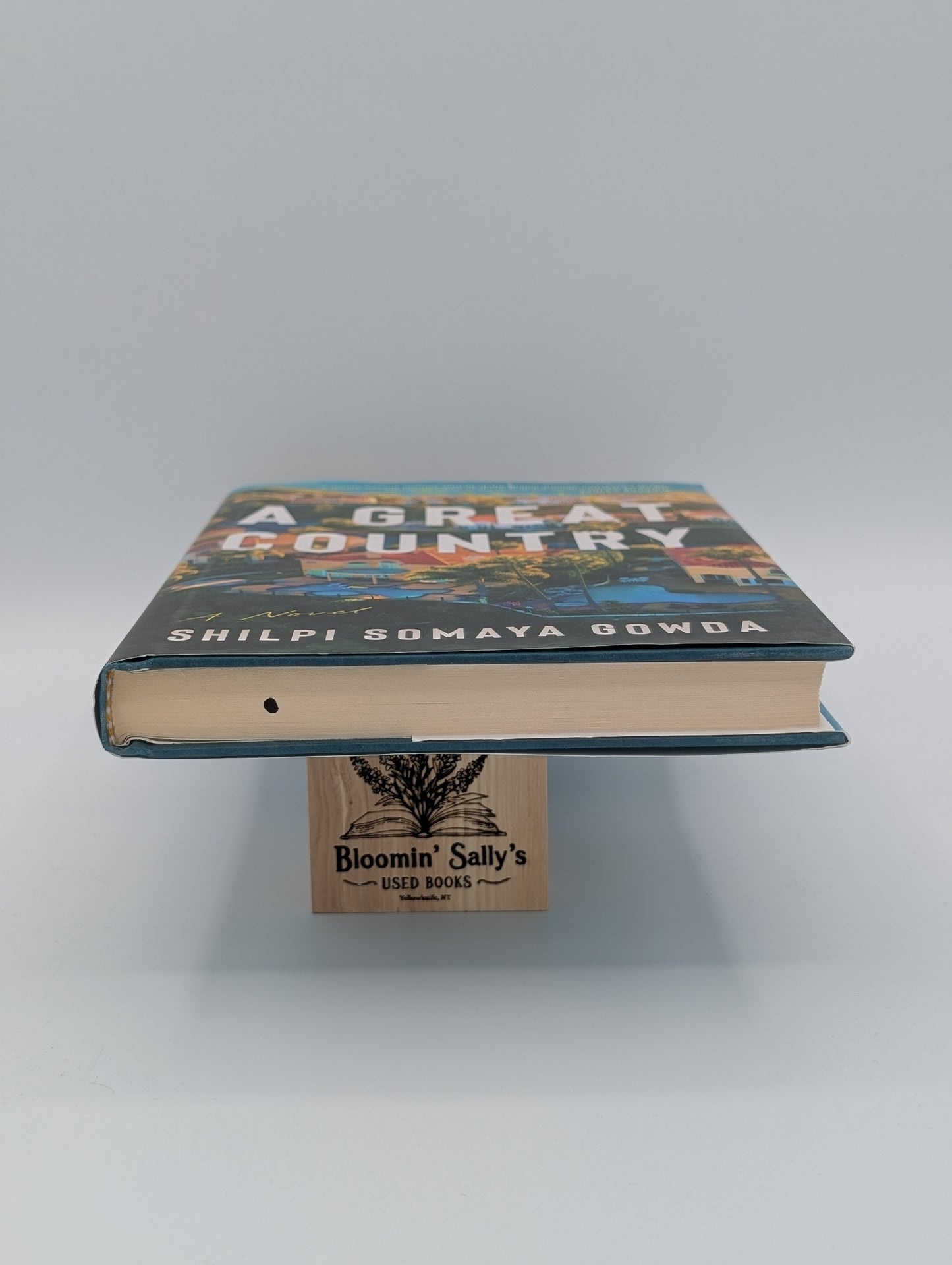 Un grand pays : un roman (édition reliée)