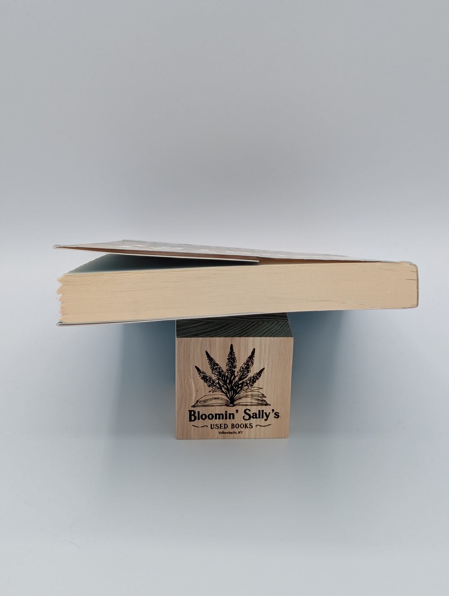 Un grand pays (Livre de poche)