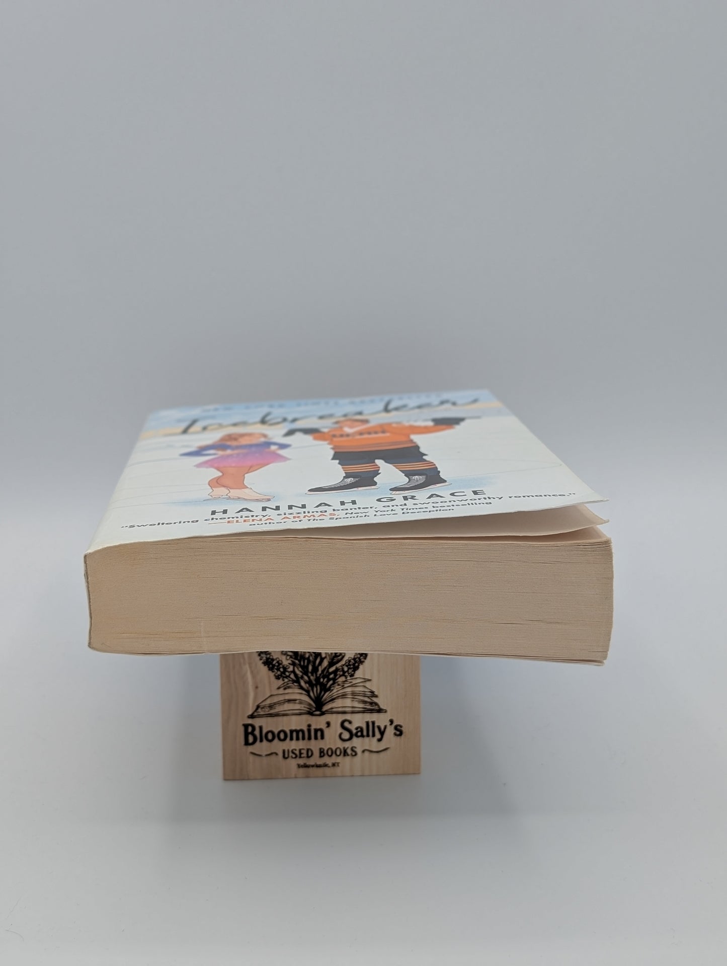 Brise-glace : Un roman (1) (La série Maple Hills)