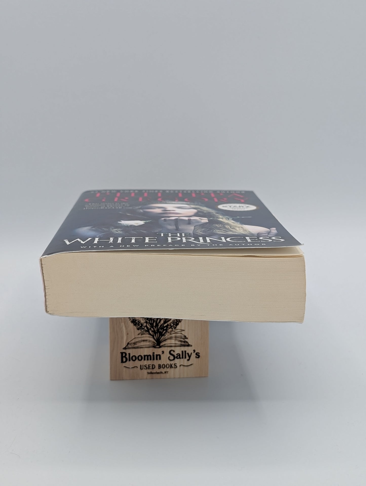 The White Princess (The Plantagenet and Tudor Novels)
