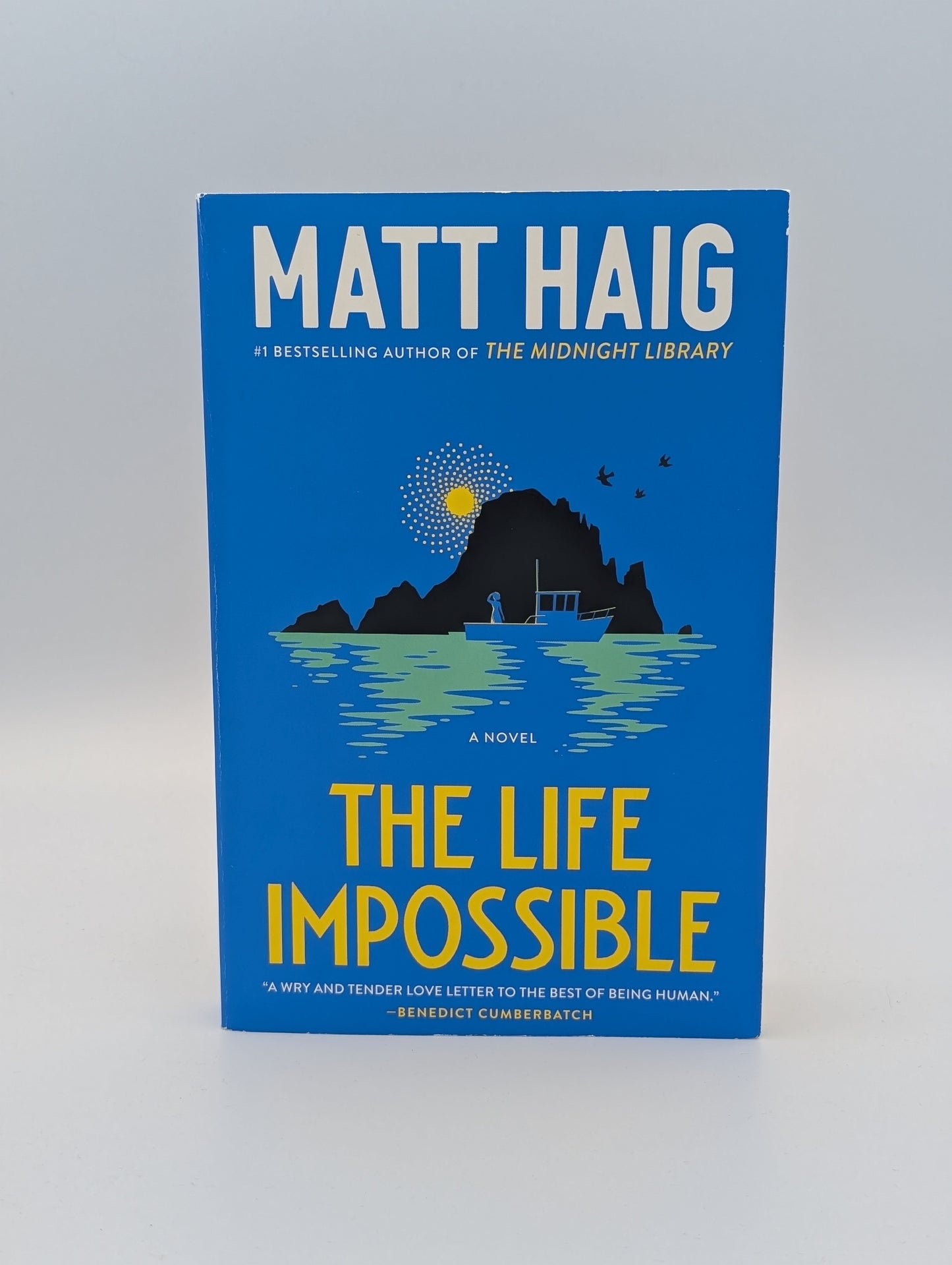 La vie impossible : un roman