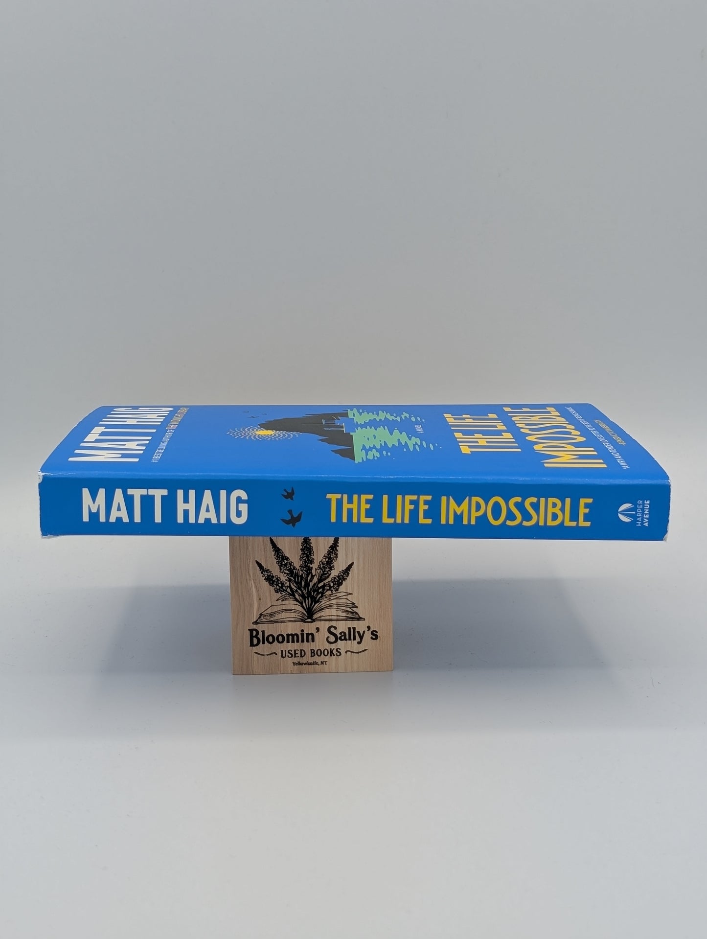 La vie impossible : un roman
