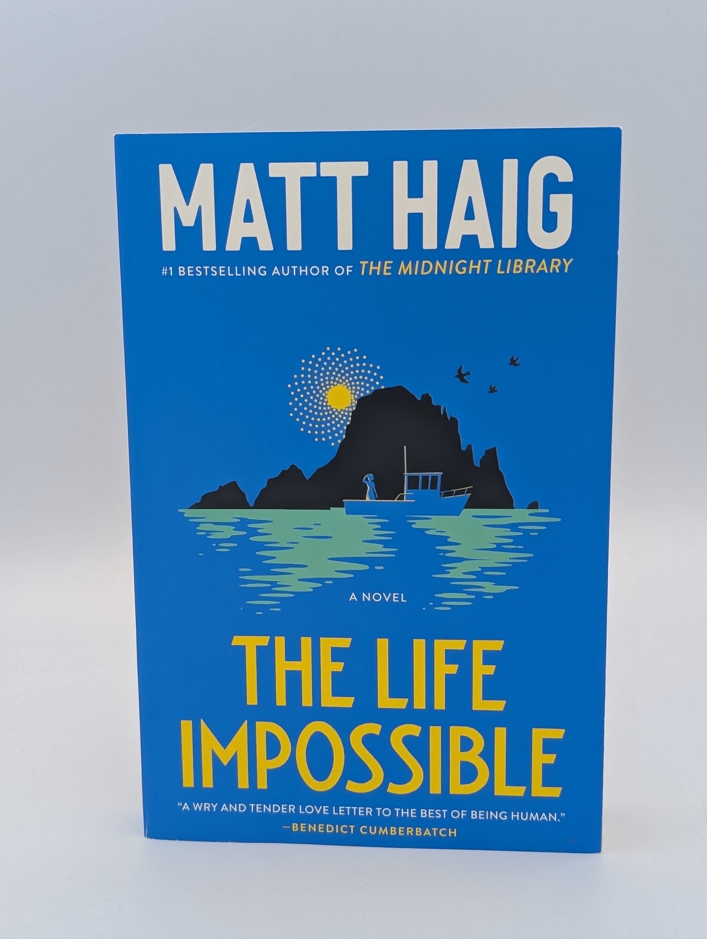 La vie impossible : un roman