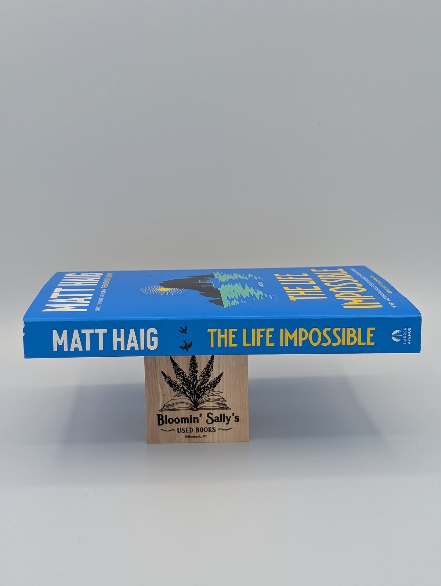 La vie impossible : un roman