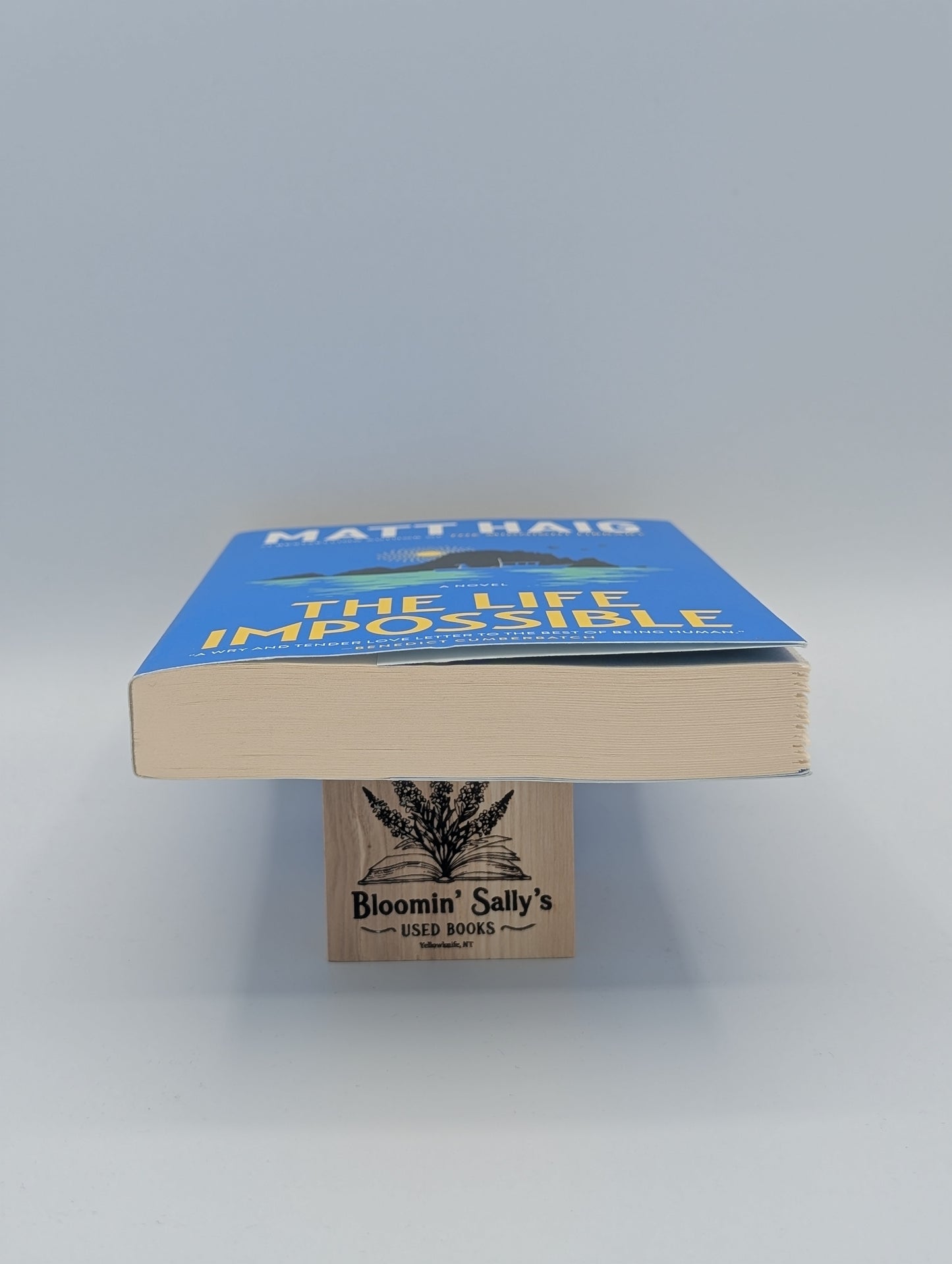 La vie impossible : un roman