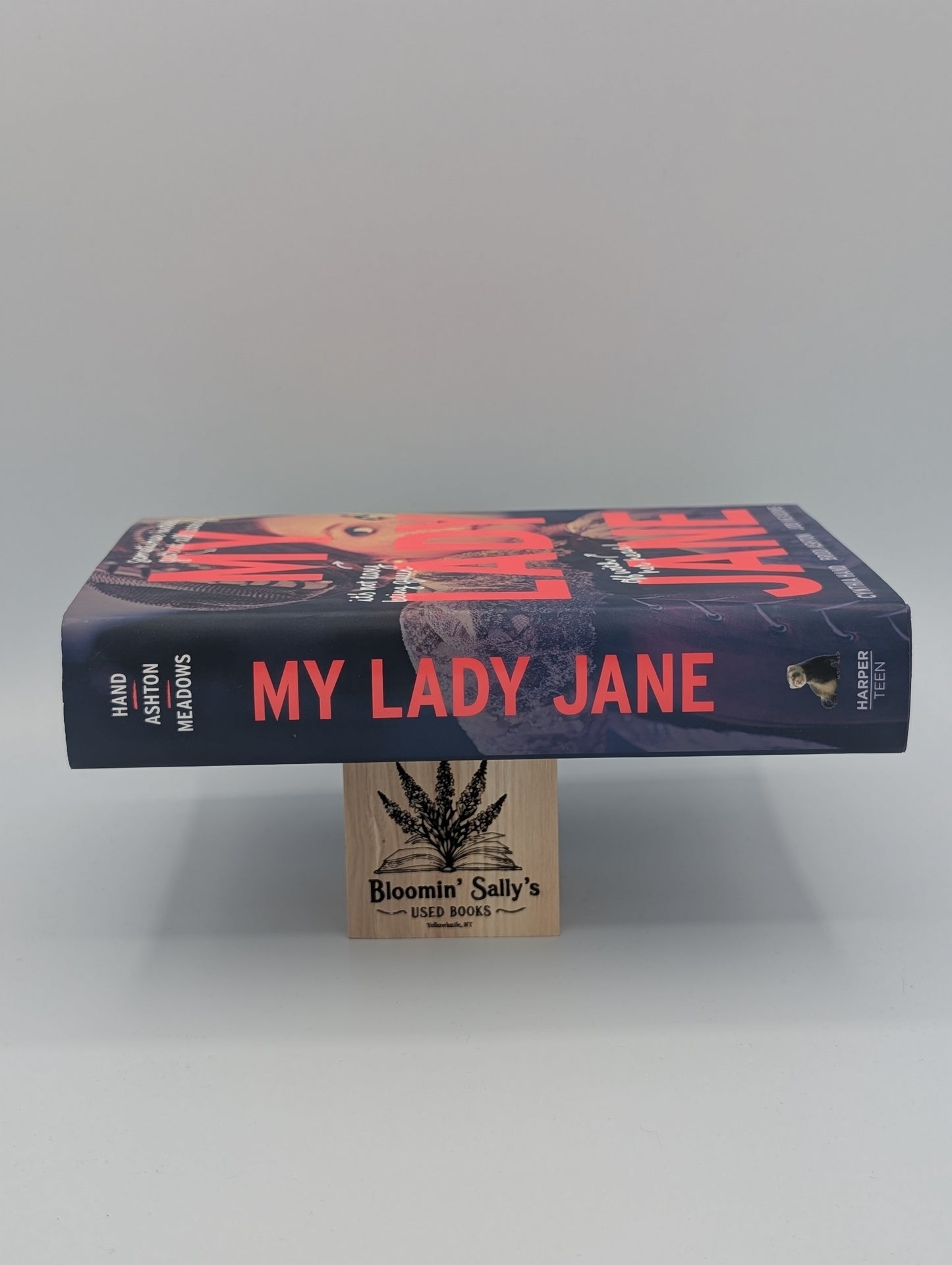 My Lady Jane : désormais une série en streaming (The Lady Janies)