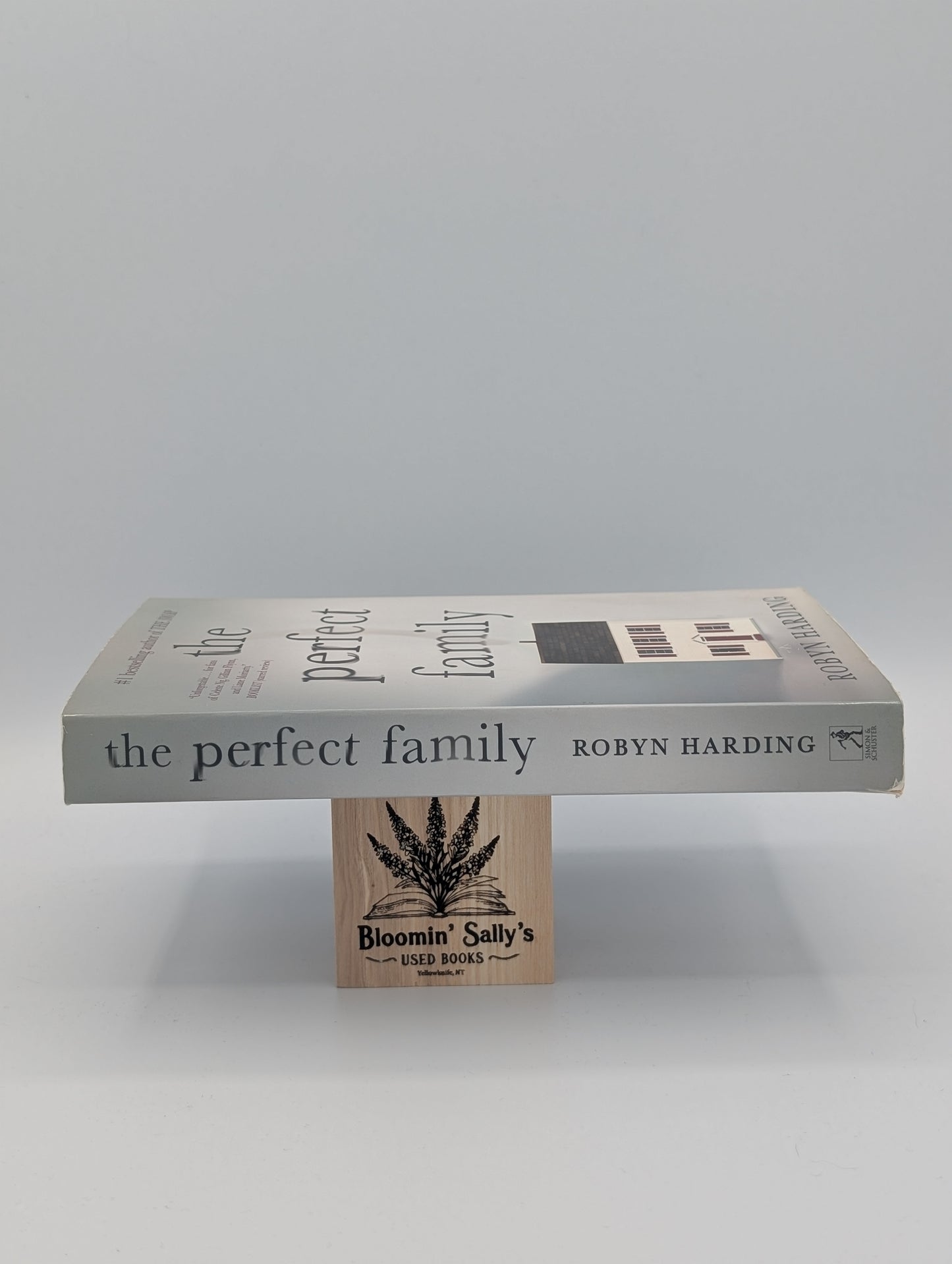 The Perfect Family