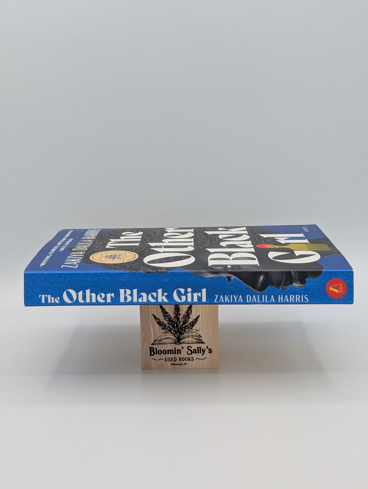 L'autre fille noire : un roman