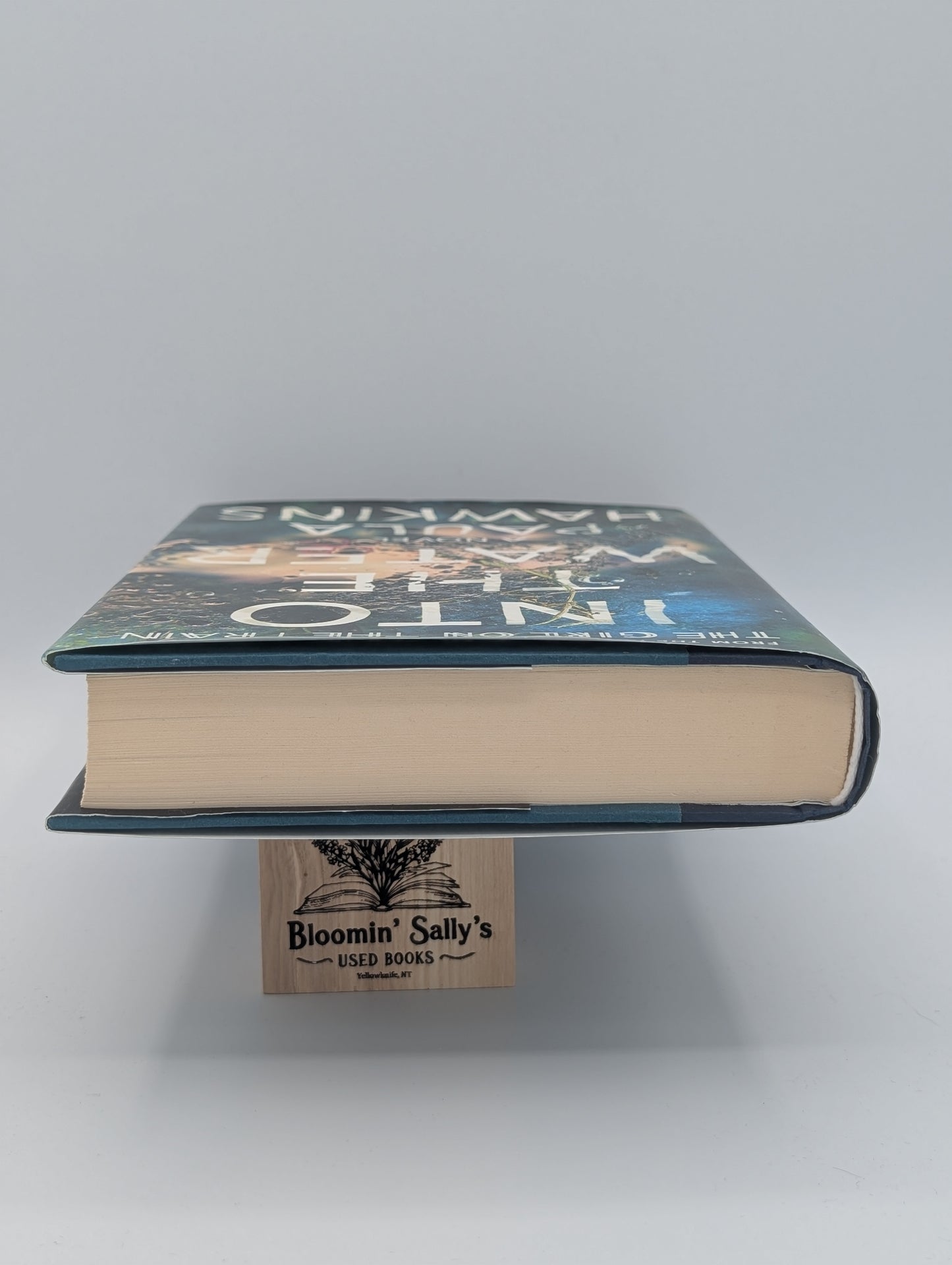 Into the Water: A Novel