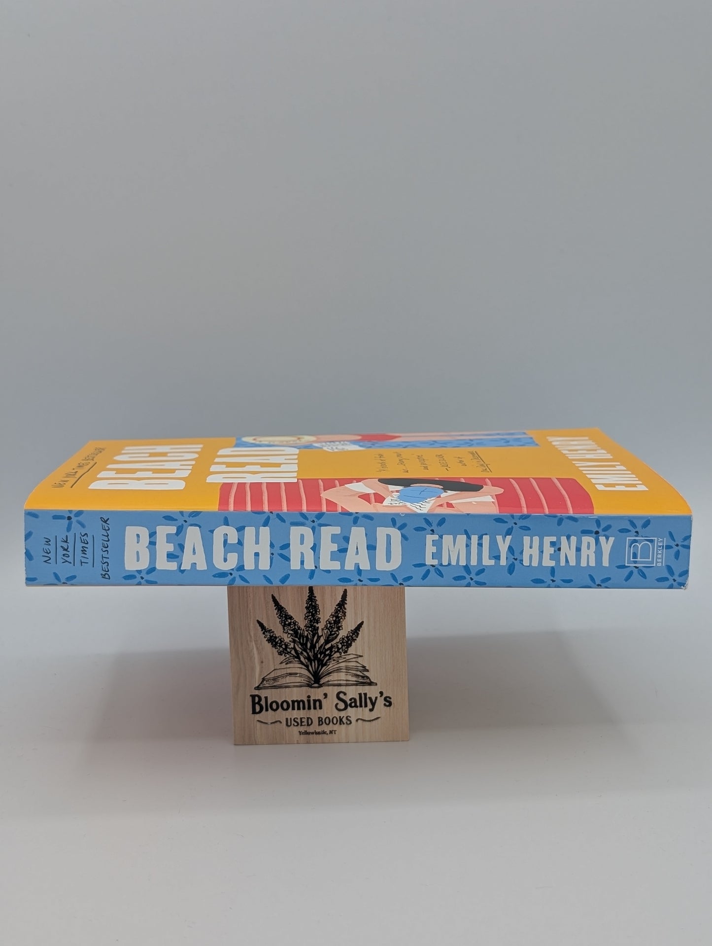Lecture de plage