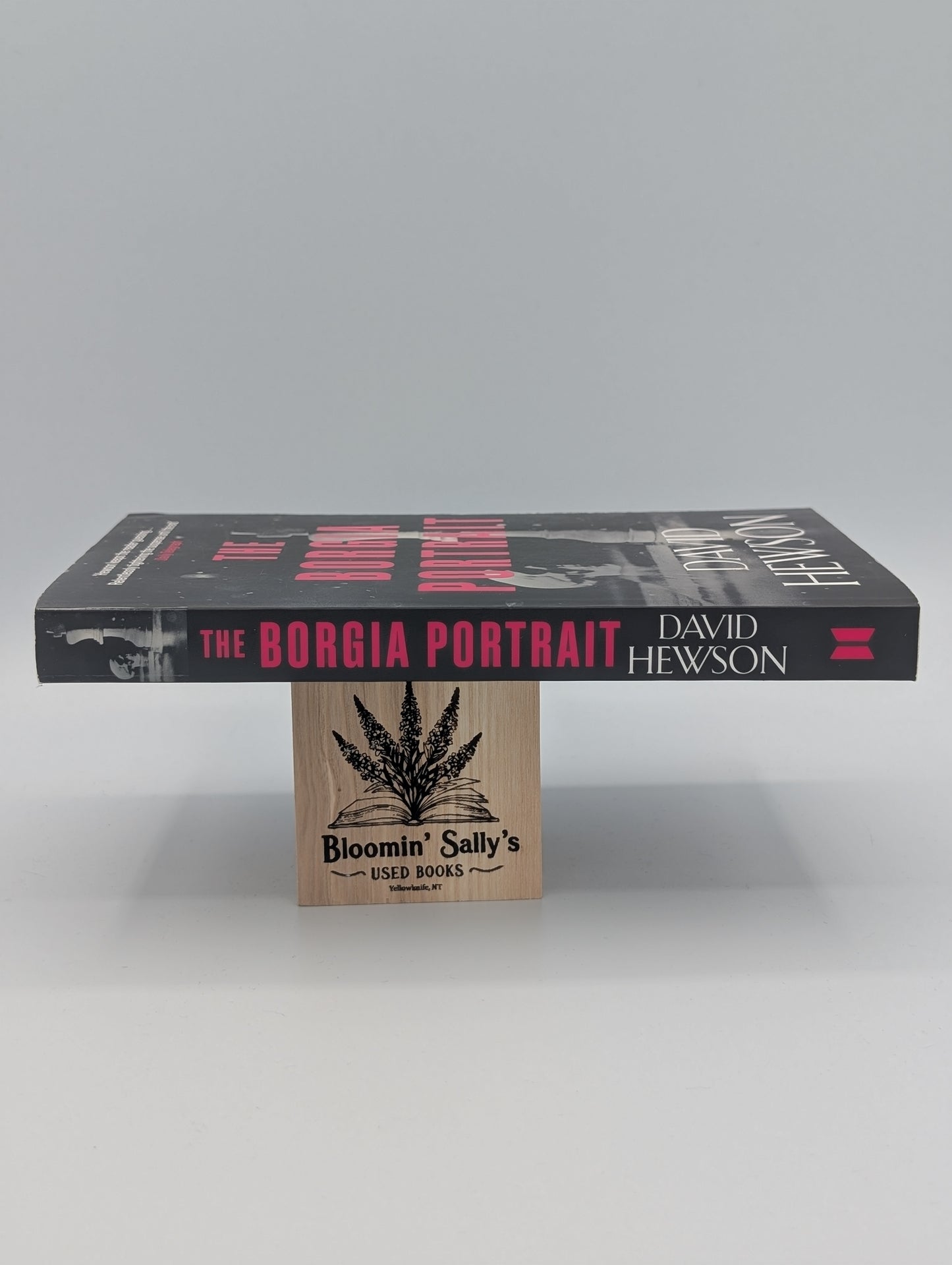 The Borgia Portrait (A Venetian Mystery, 2)
