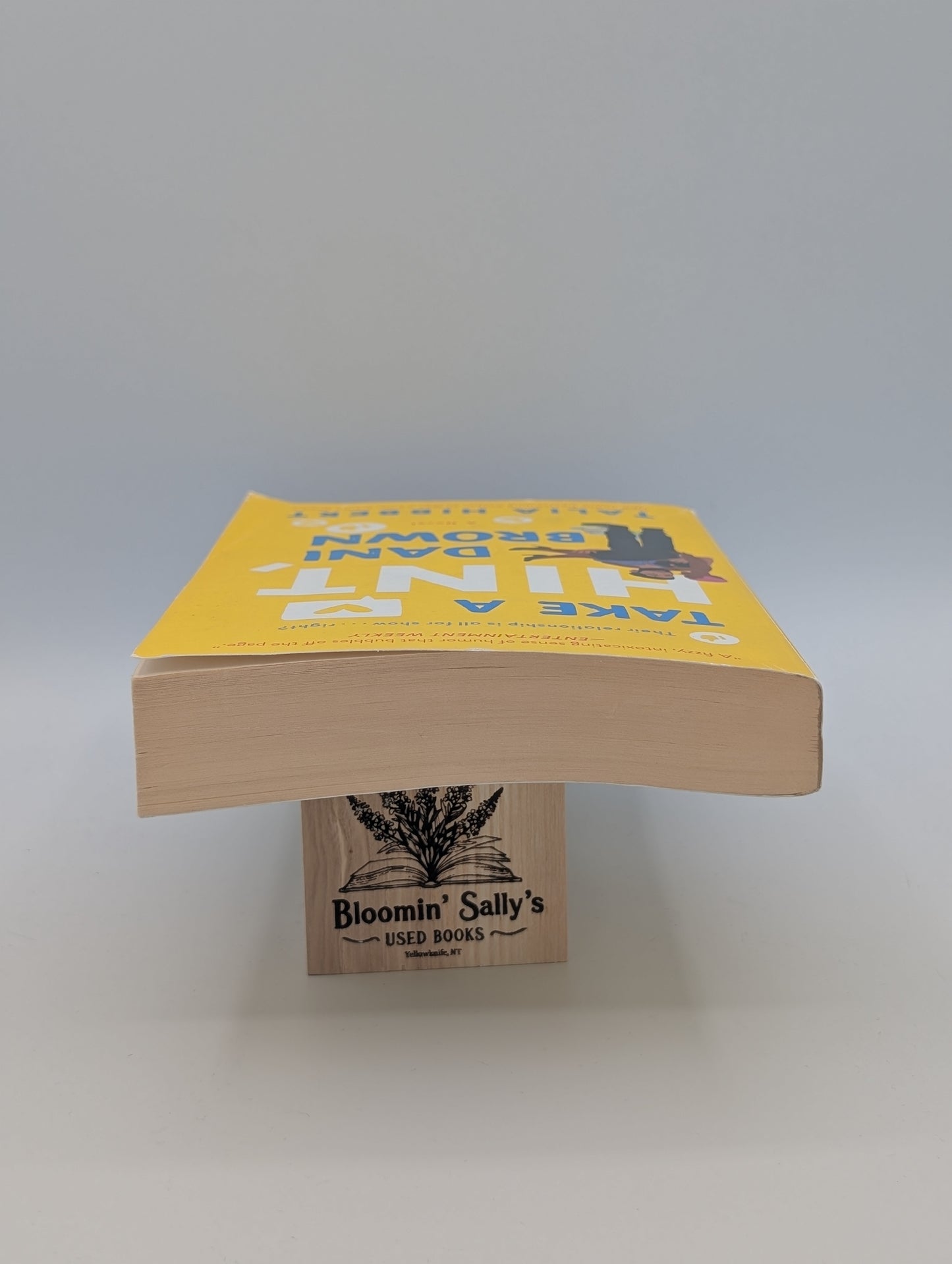 Prends un indice, Dani Brown : Un roman (Les sœurs Brown, 2)