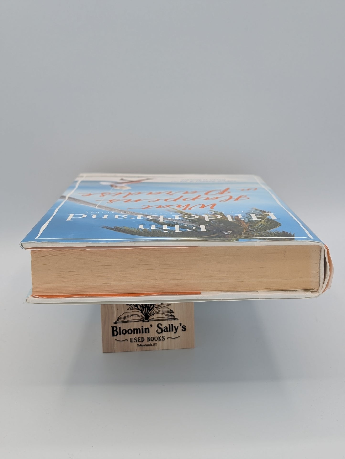 Ce qui se passe au paradis (Le Paradis, 2)