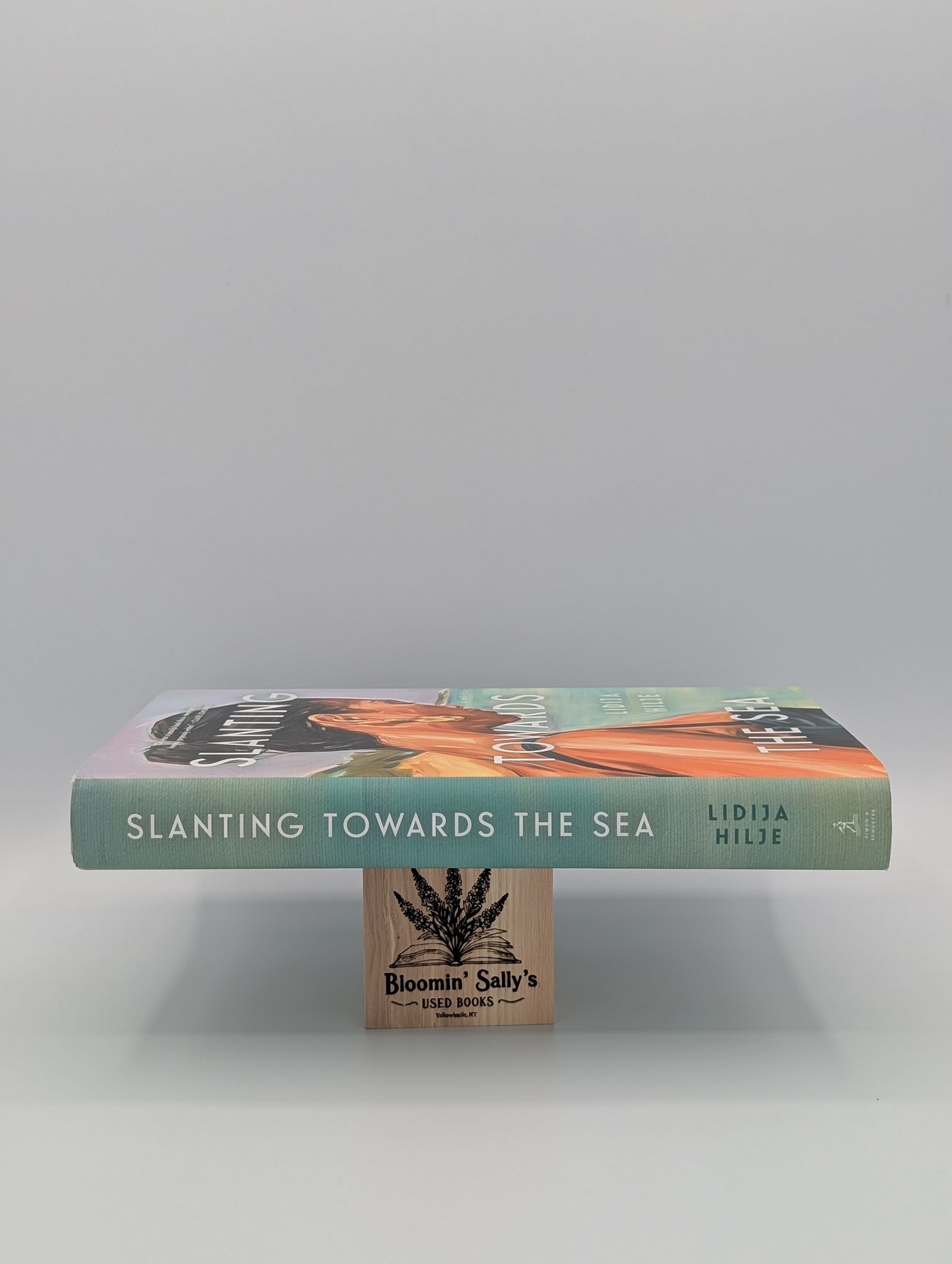 Slanting Towards the Sea: A Novel