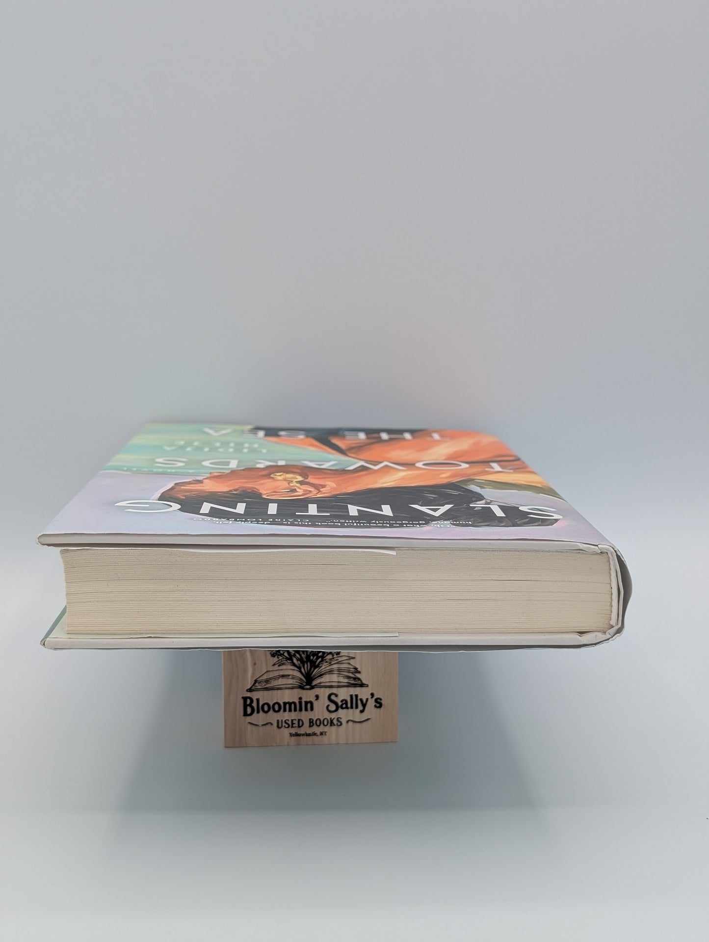 Slanting Towards the Sea: A Novel
